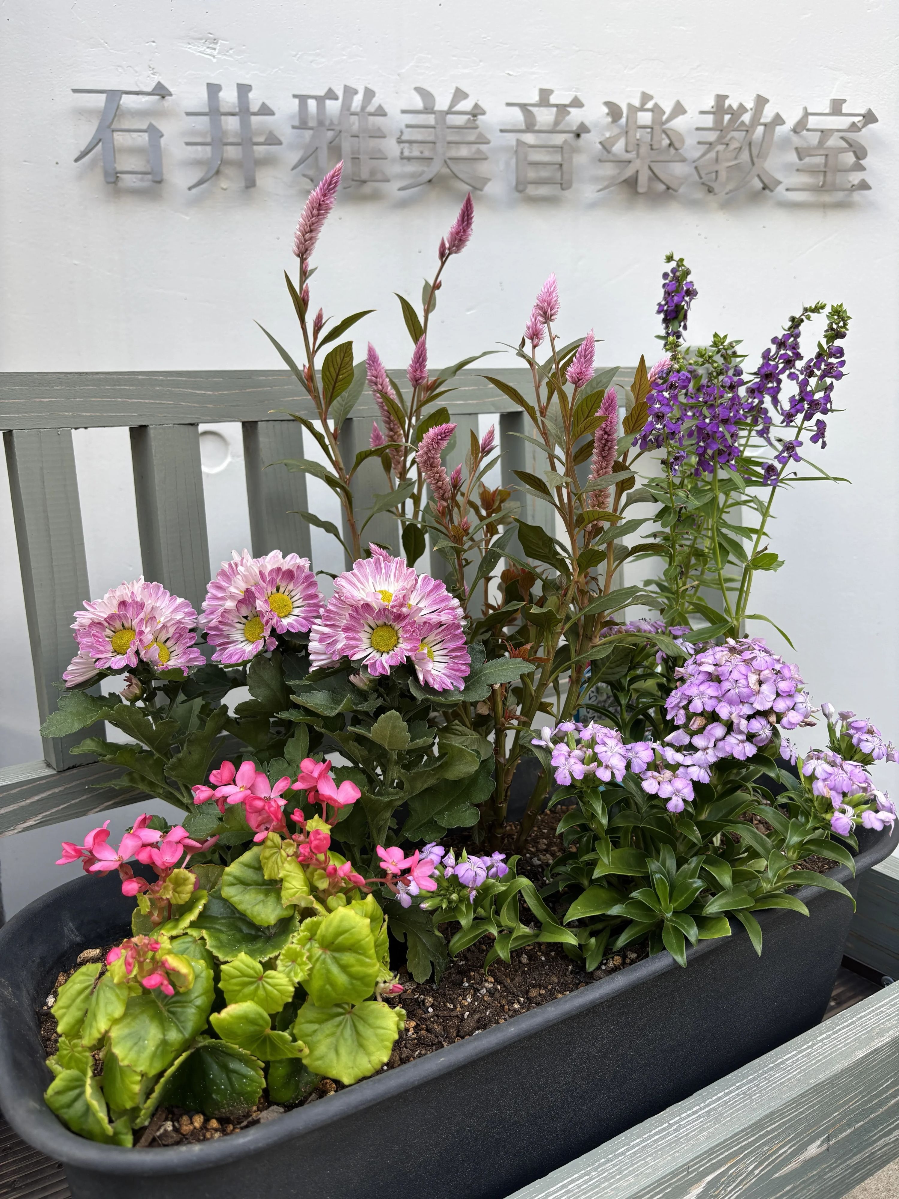 石井雅美音楽教室 ピアノ 西堀教室のサムネイル画像 3