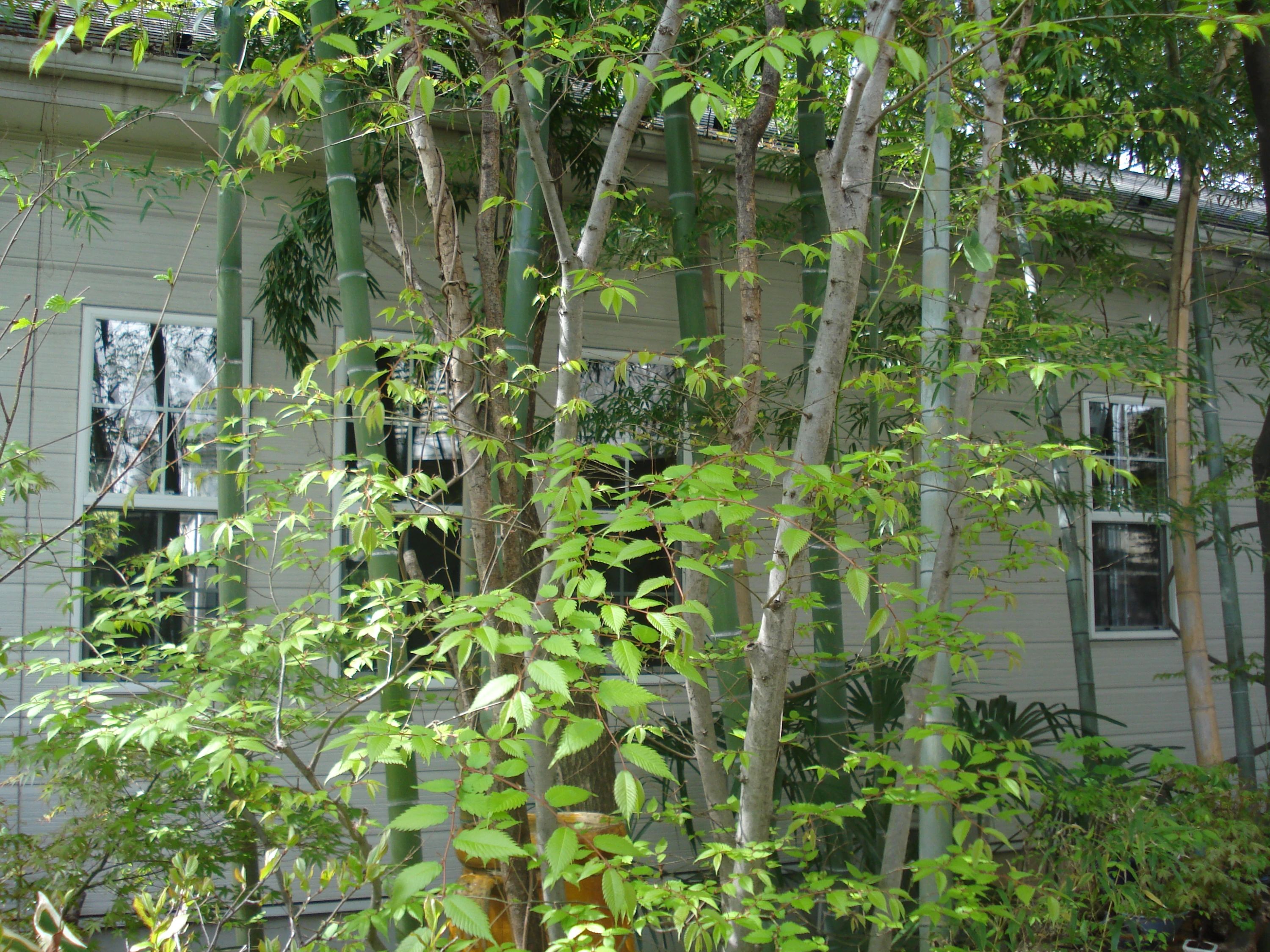 森の音楽教室 ピアノ 大東教室のサムネイル画像 2