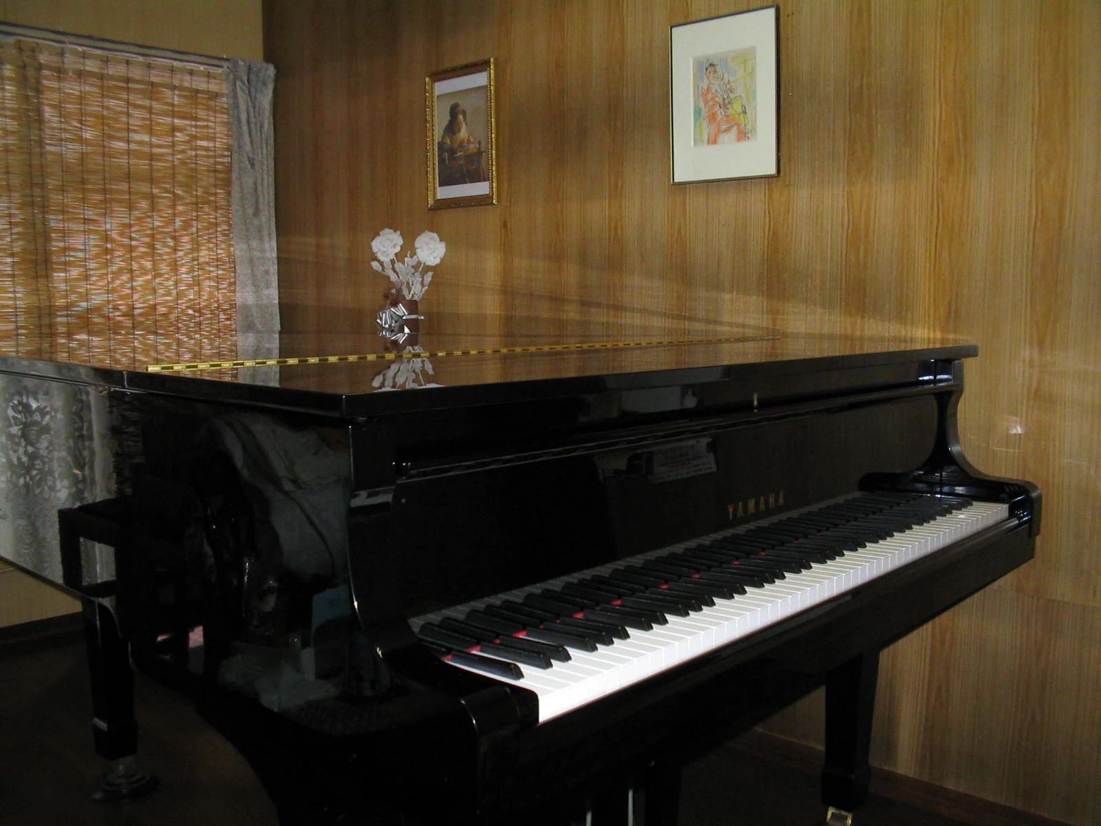 ミューズ林田ピアノ教室 西川口教室のメイン画像