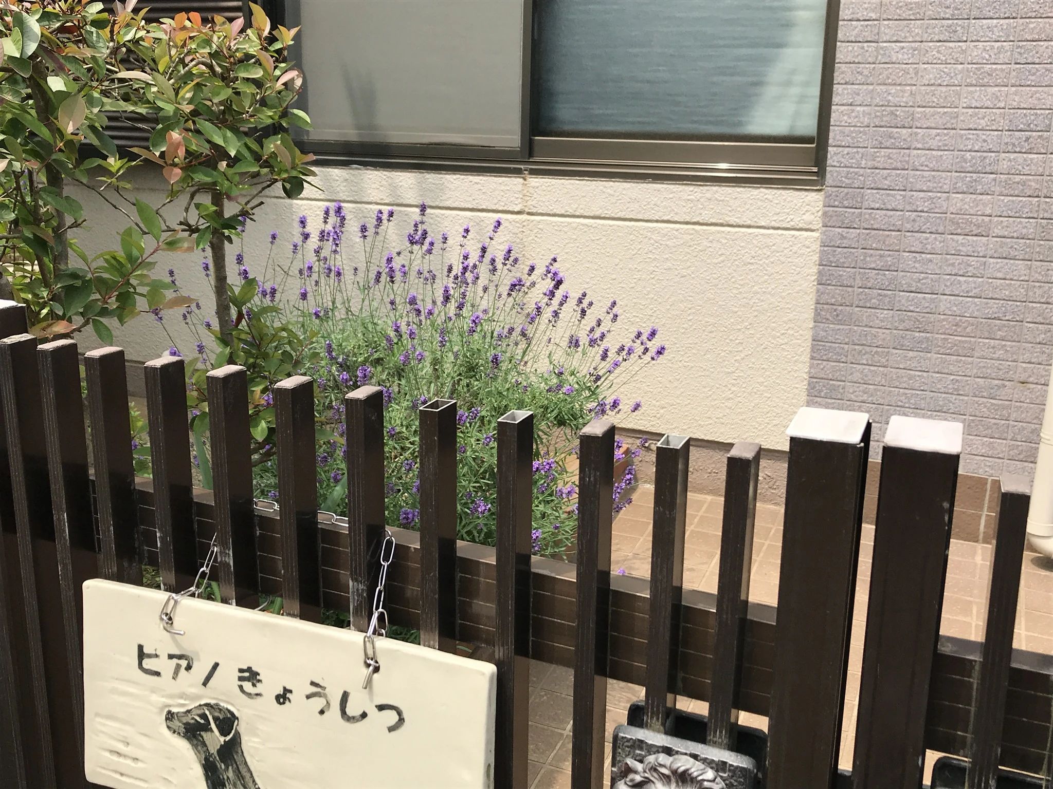 たけうちピアノ教室 坂之下教室のサムネイル画像 2