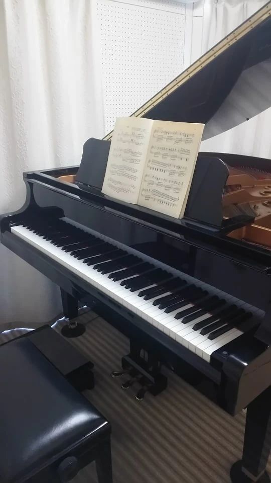 Rththmy(リズミィー)音楽教室 ピアノ けやき台教室のサムネイル画像 2