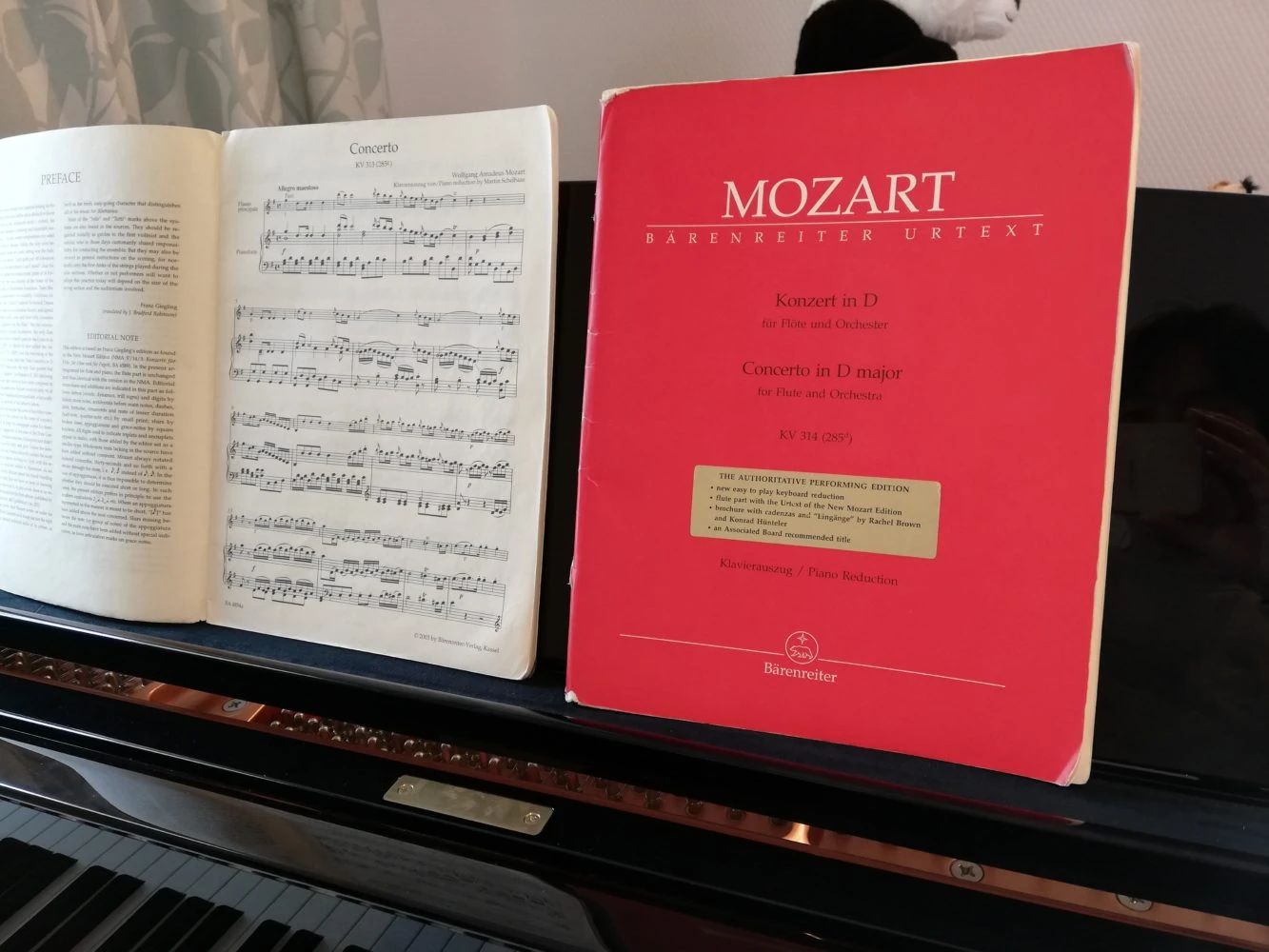 音楽教室 Lieb Knospen ピアノ 遊馬町教室のサムネイル画像 3