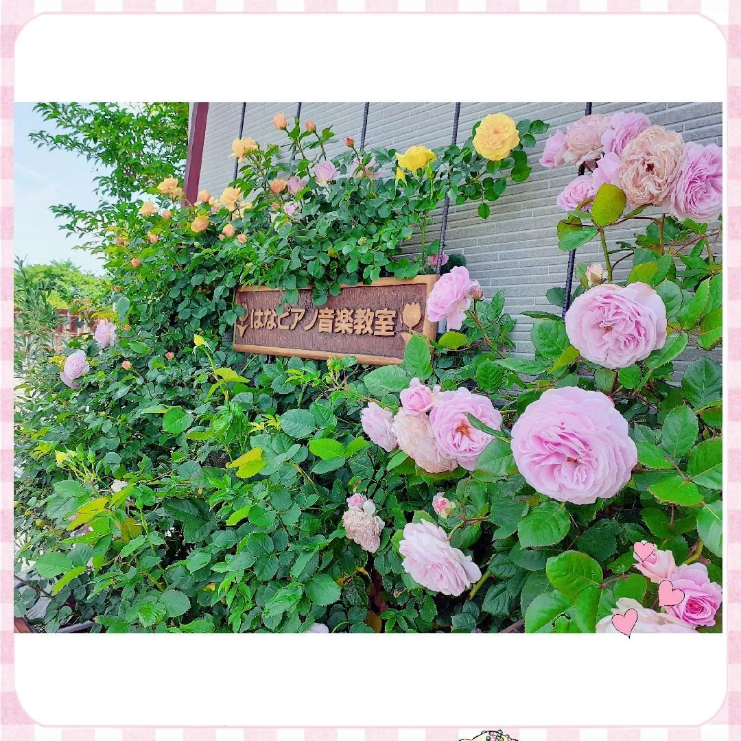 はなピアノ音楽教室 本校のメイン画像