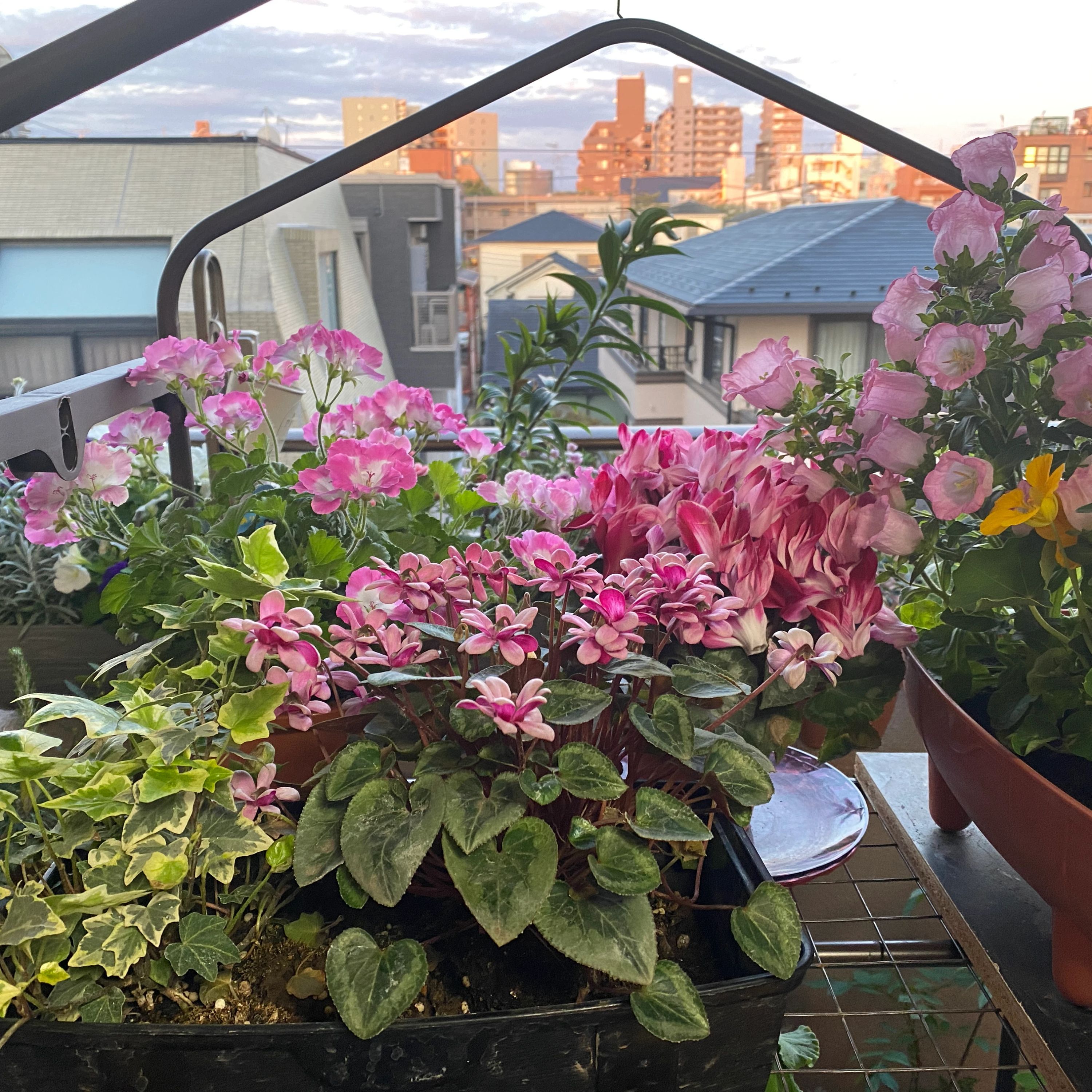 ヒロコピアノ教室 南浦和教室のサムネイル画像 2