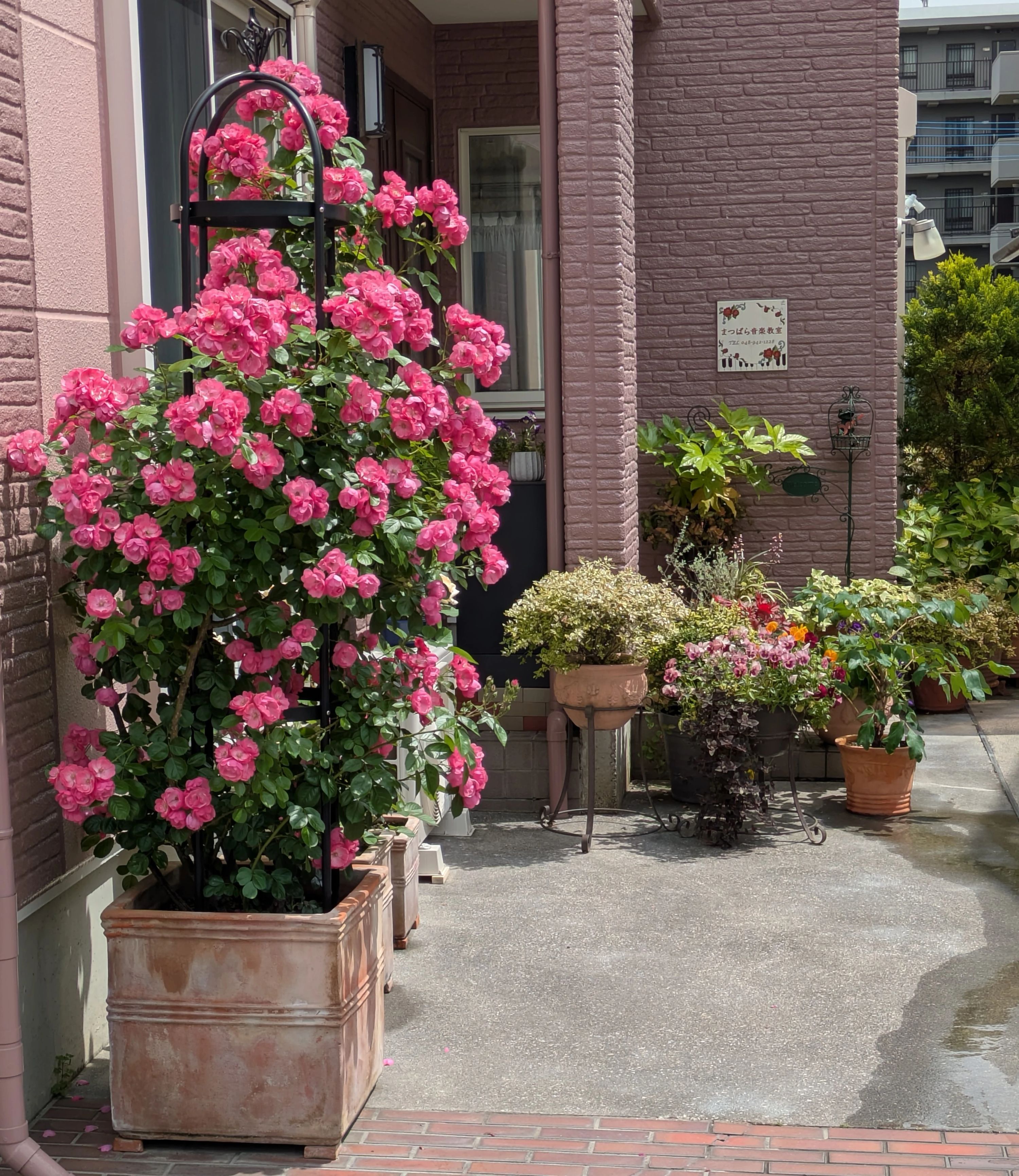 まつばら音楽教室 ピアノ 松原教室のサムネイル画像 4