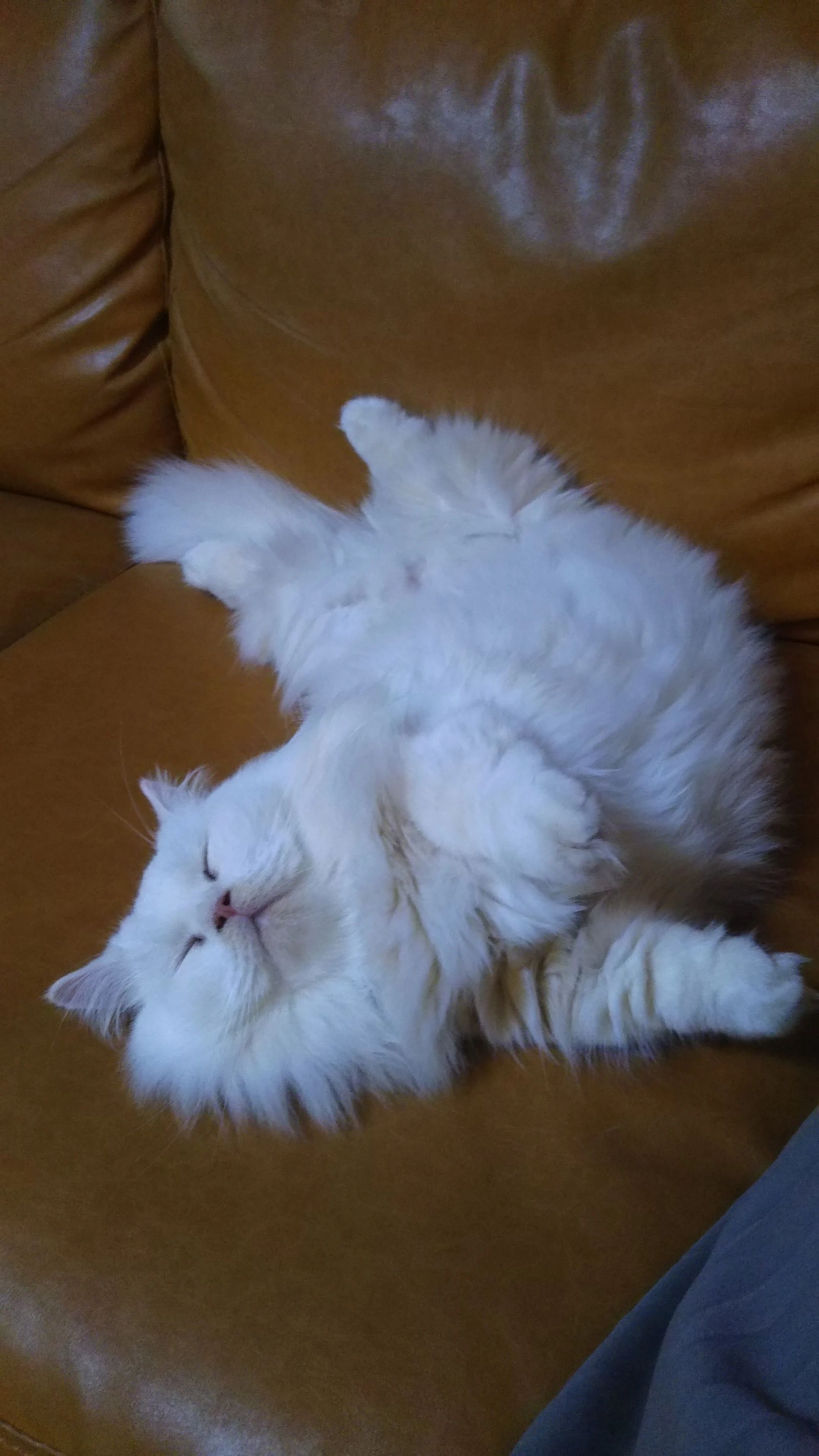 市島ピアノ教室 中宗岡教室のメイン画像