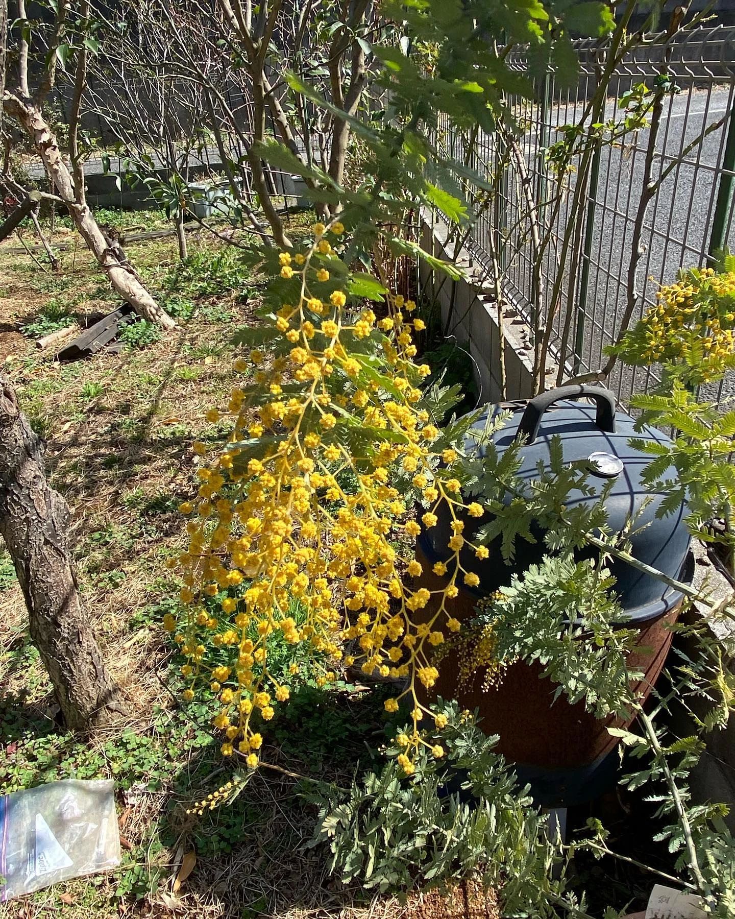 ピアノ教室ぽこあぽこ 市川教室のサムネイル画像 4