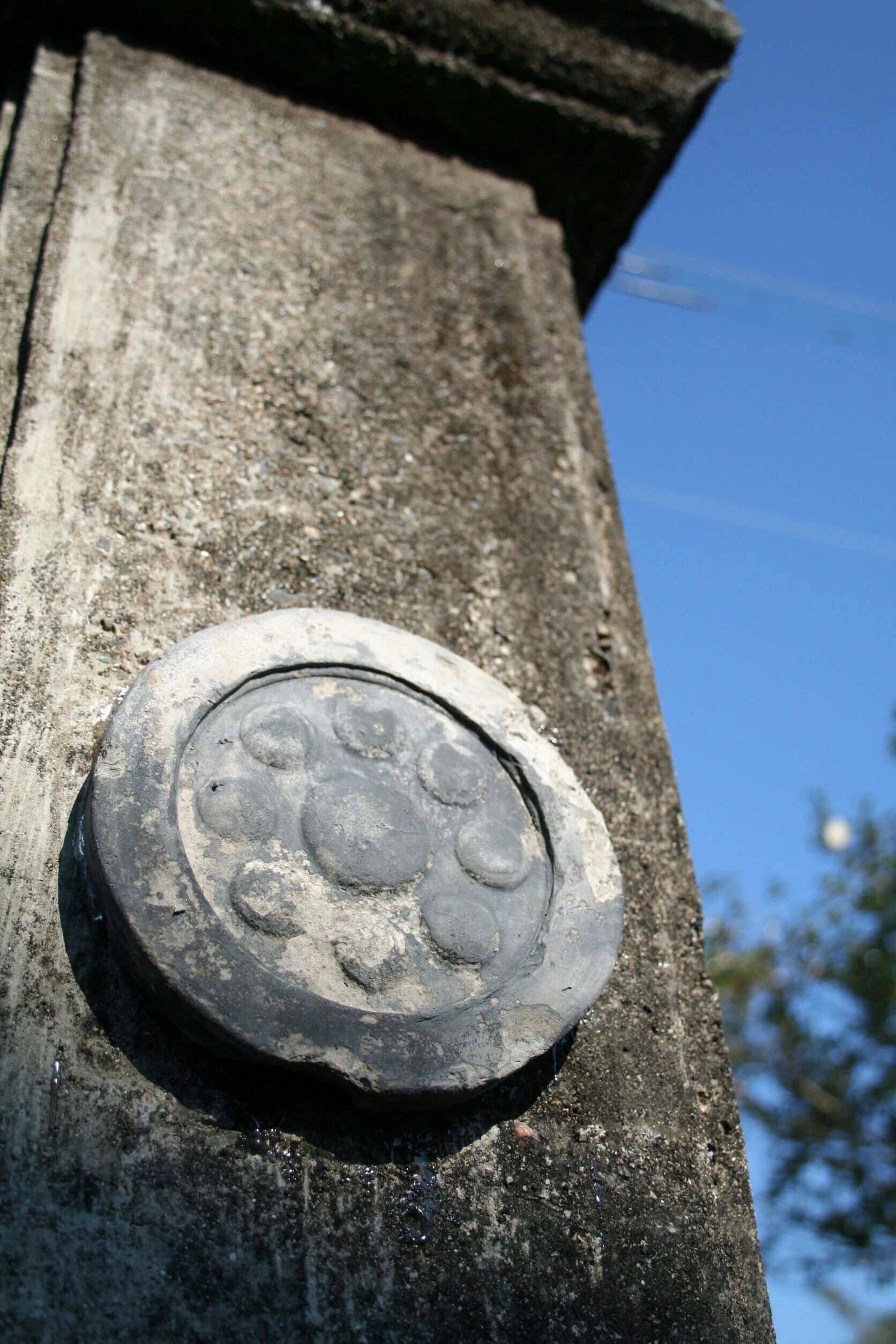 兵法タイ捨流 こども剣術教室のサムネイル画像 4