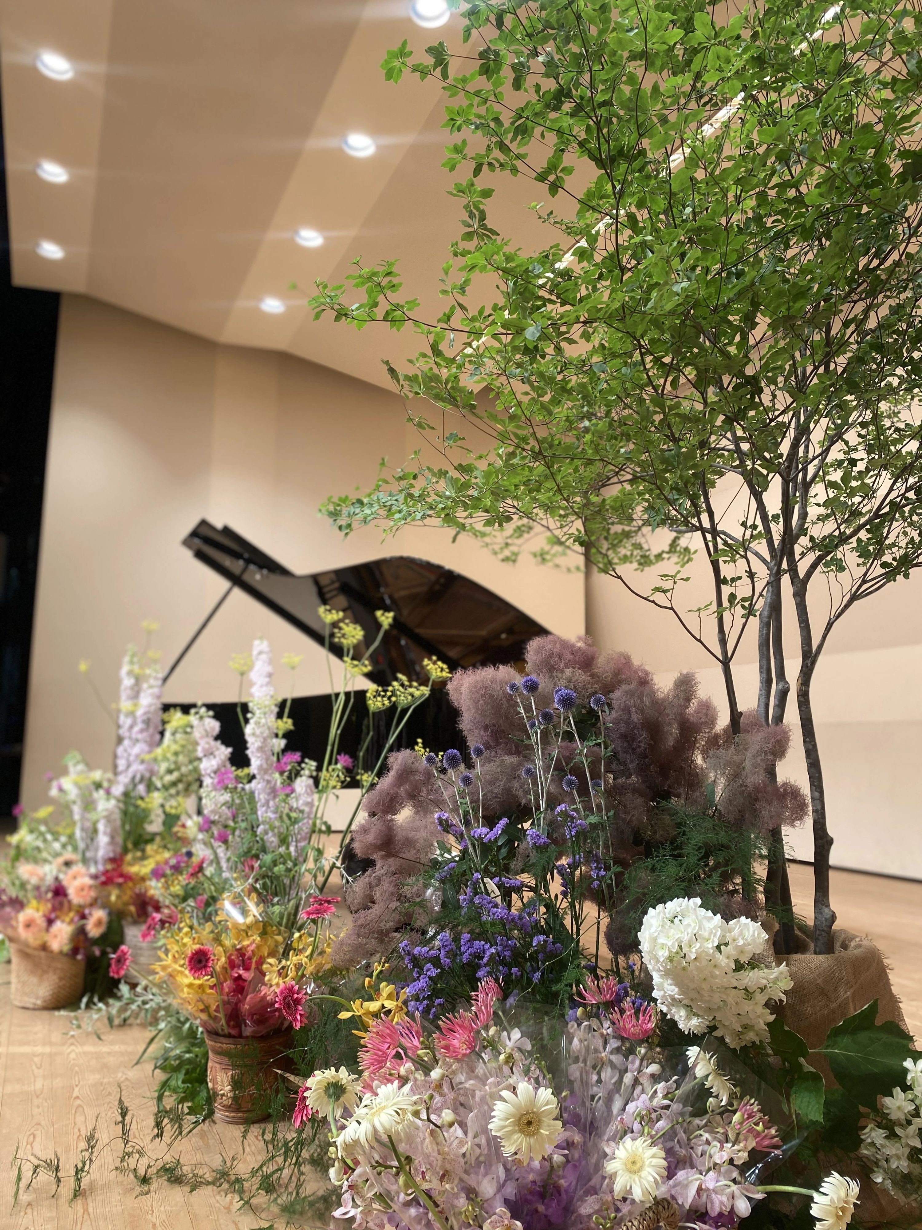 Hanaco音楽教室 ピアノ 清水教室のサムネイル画像 4