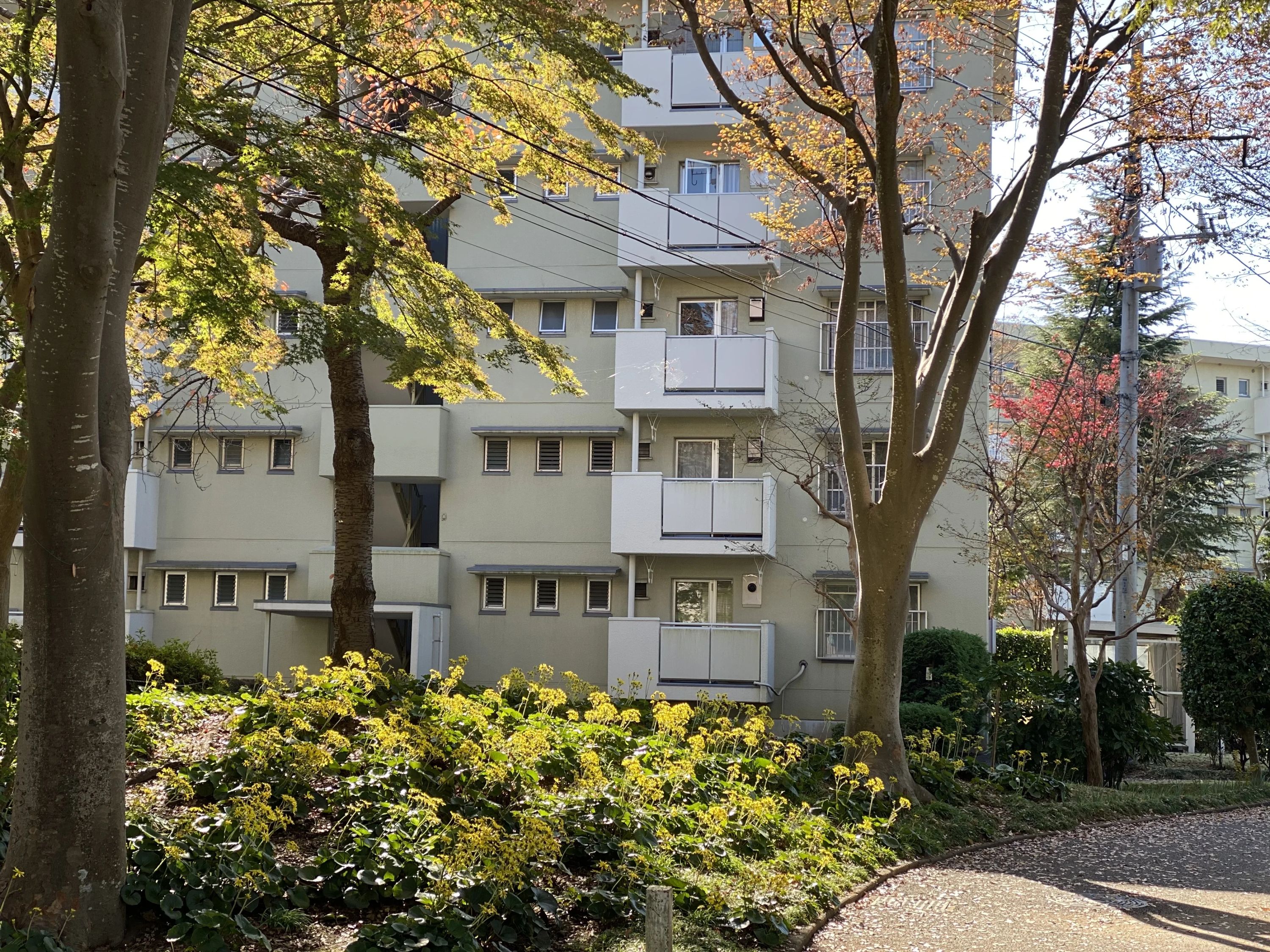 anello音楽教室 ピアノ 高品町教室のサムネイル画像 2