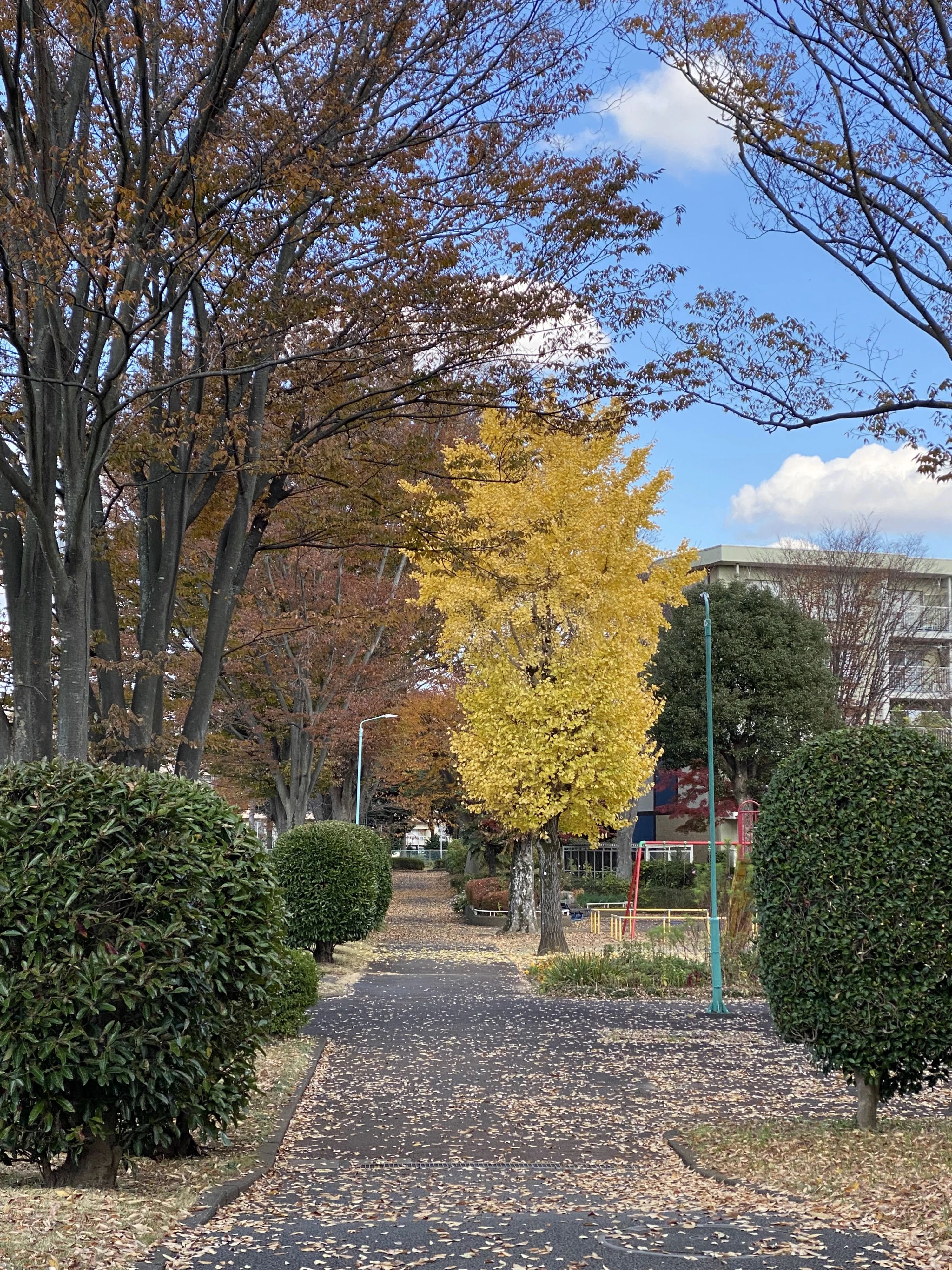 anello音楽教室 ピアノ 高品町教室のサムネイル画像 3