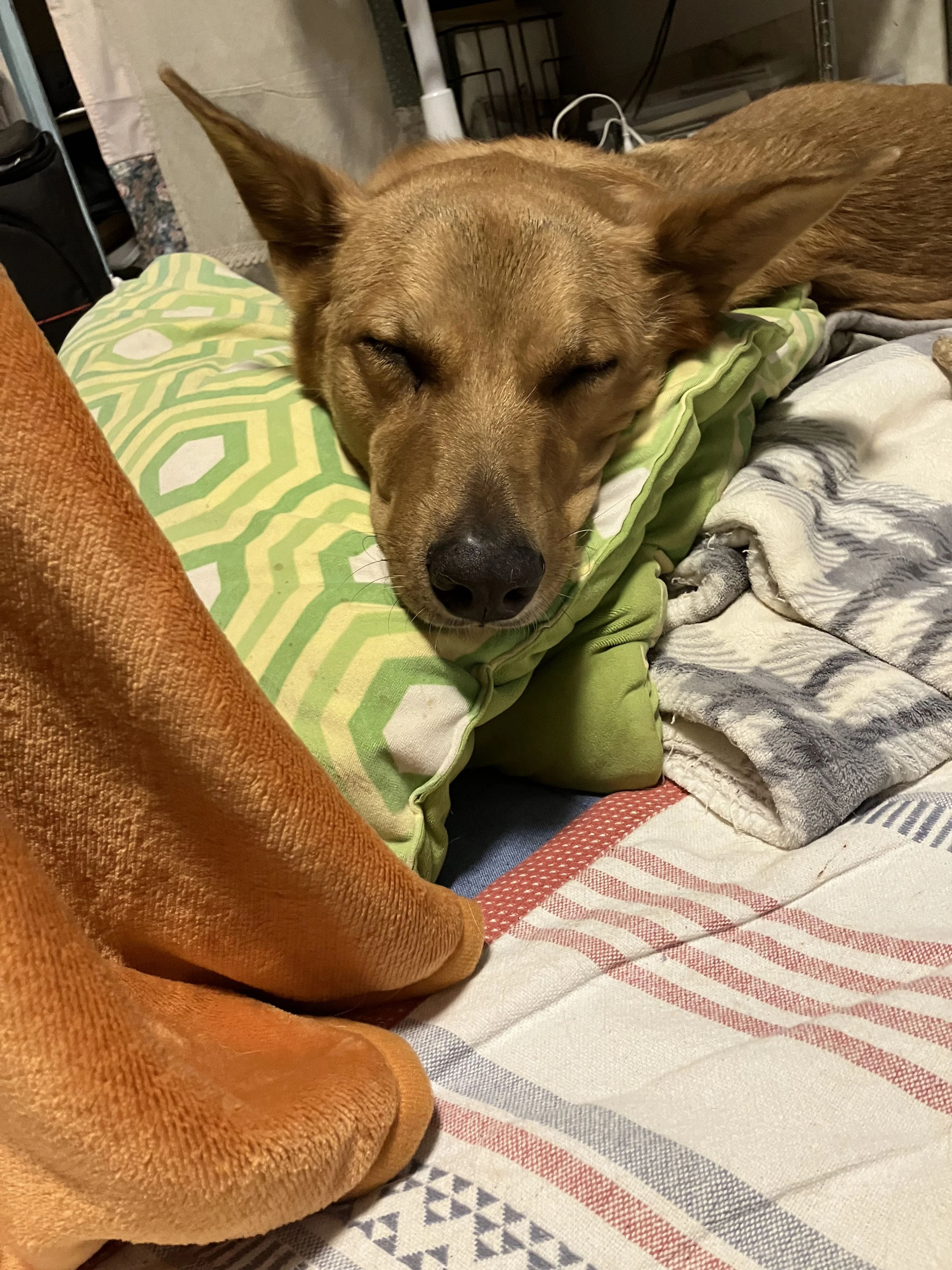 HARAぴあの教室 市原市教室のメイン画像