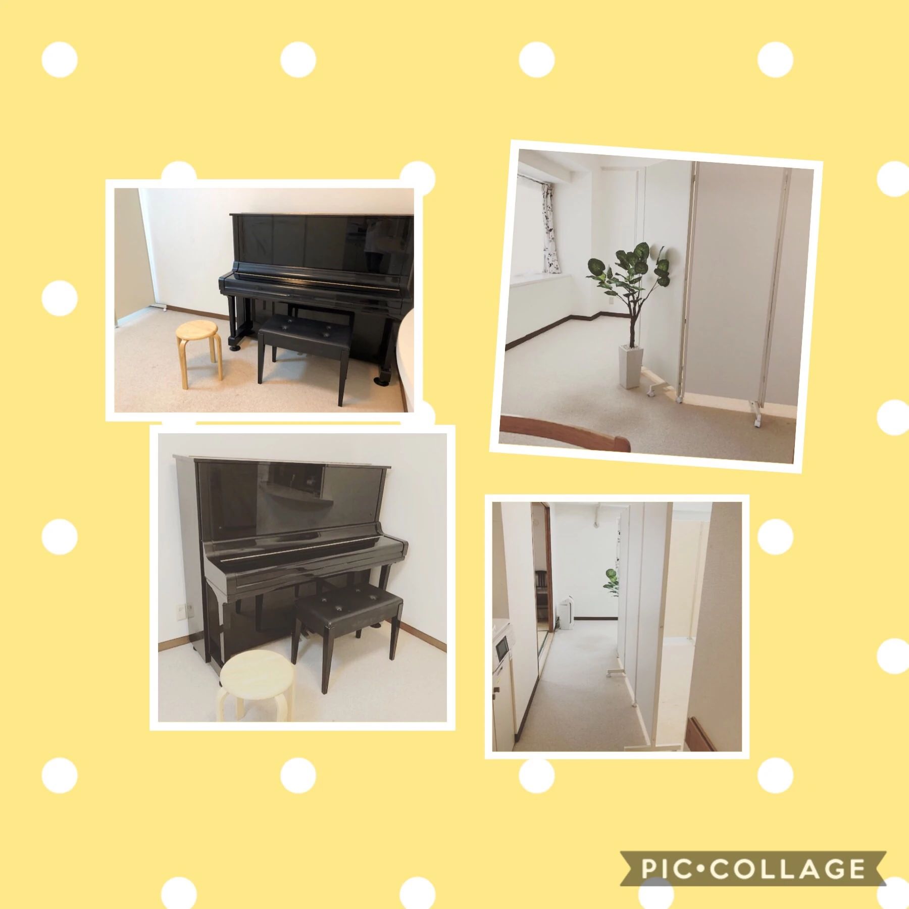 どんぐりの森音楽教室 ピアノ 宮本教室のサムネイル画像 3