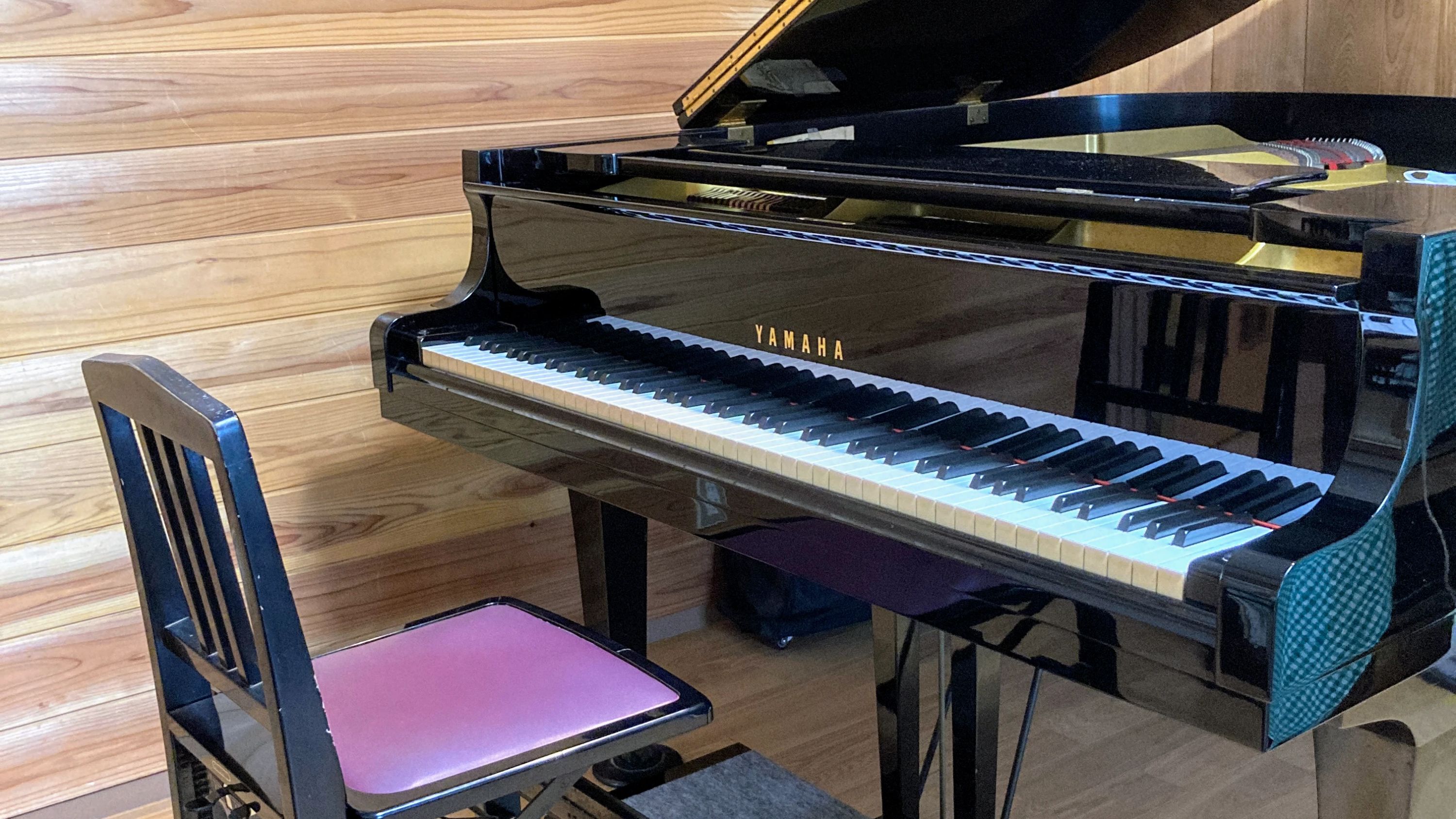 ナチュラル田中音楽教室 ピアノ 金親町教室のサムネイル画像 3