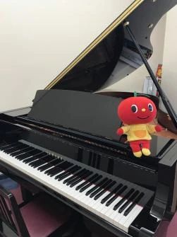 伊藤楽器 ピアノ 海浜幕張センターのサムネイル画像 5