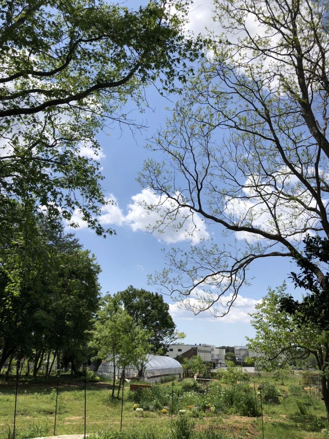 登坂睦子音楽教室 ピアノ 坂手町教室のメイン画像