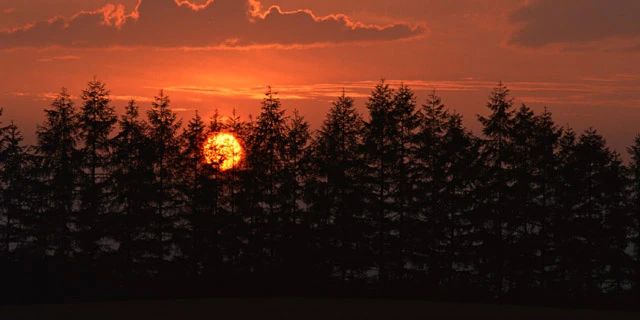 登坂睦子音楽教室 ピアノ 坂手町教室のサムネイル画像 4