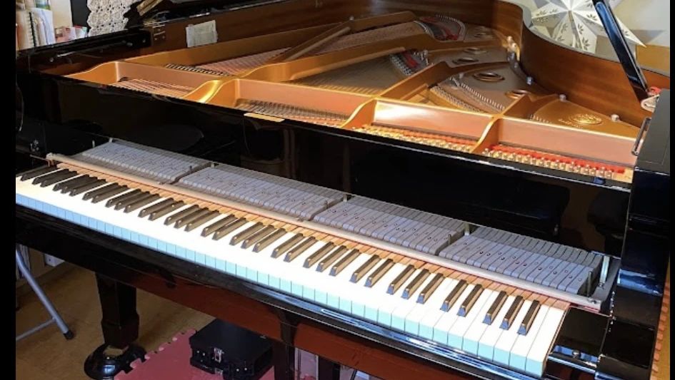 スズキ・メソード 音楽教室 ピアノ 鹿嶋教室のメイン画像