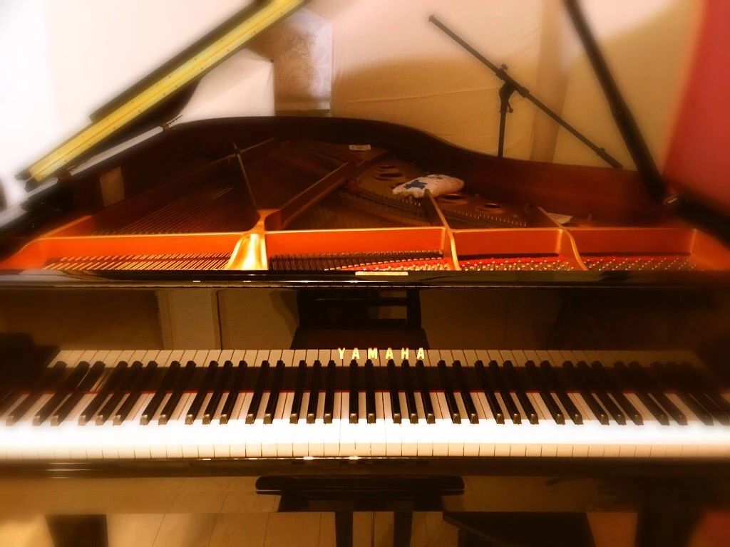 Butterflyピアノ教室 手代木教室のサムネイル画像 5