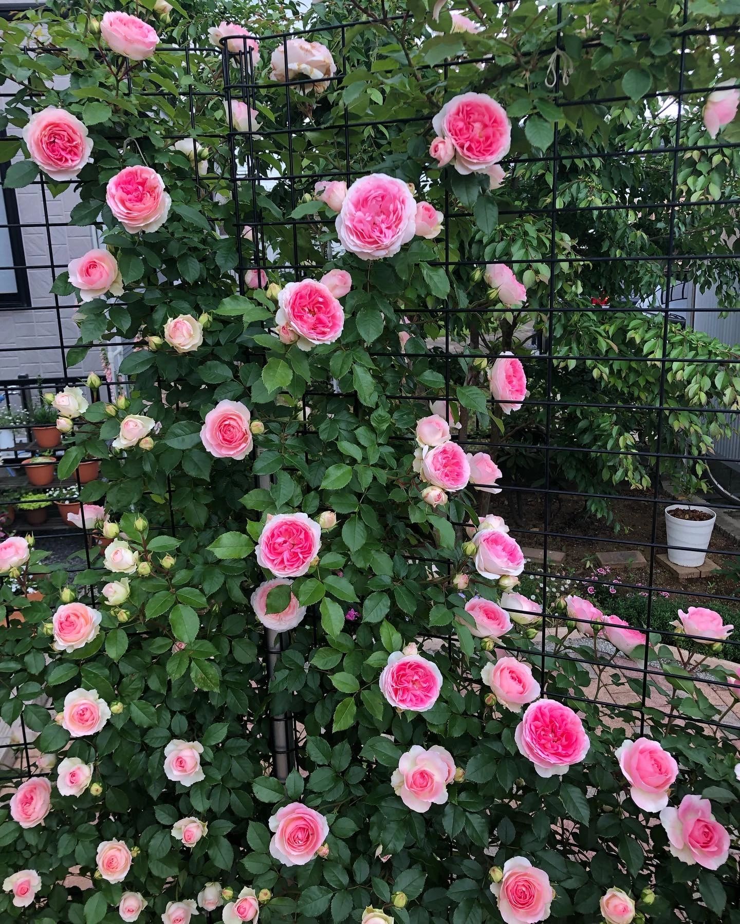 ティンク音楽教室 ピアノ 木田余東台教室のサムネイル画像 5