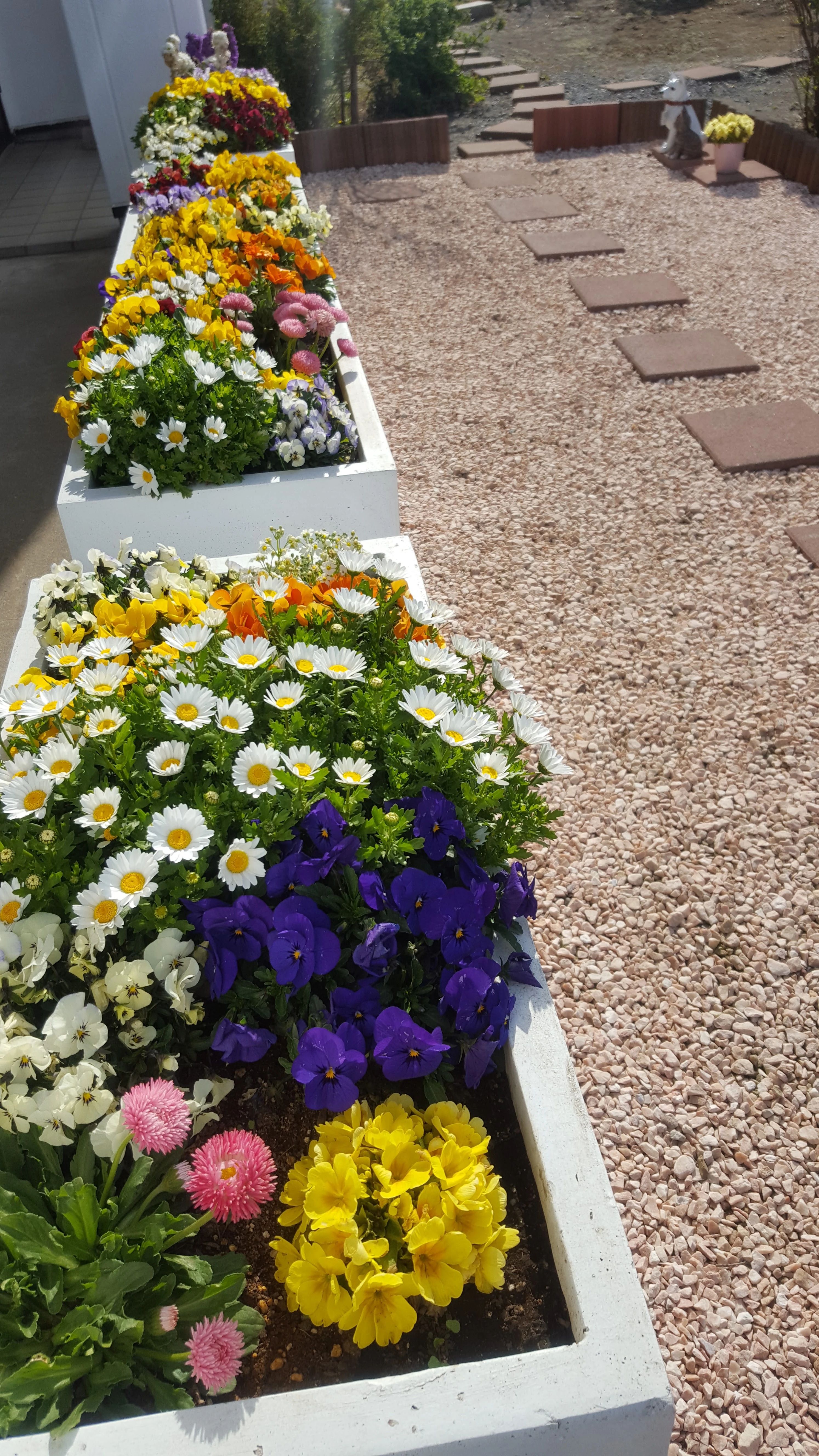 大塚美由紀ピアノ教室 磯崎町教室のサムネイル画像 2