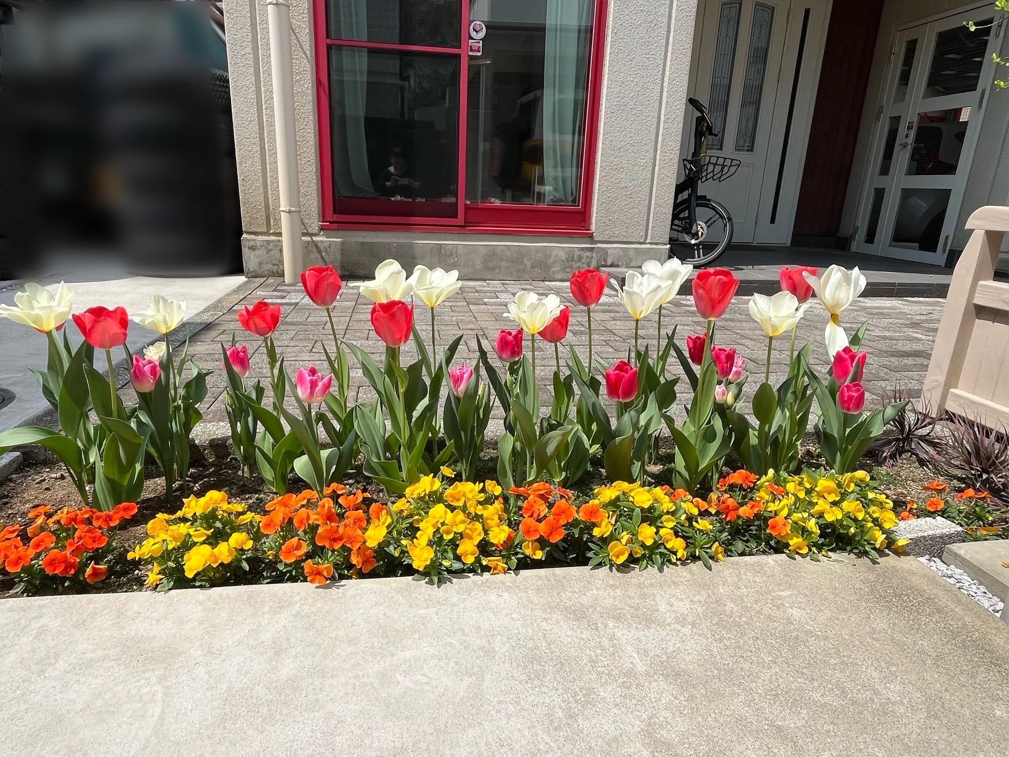 高崎市フルリールピアノ教室 山田町教室のメイン画像