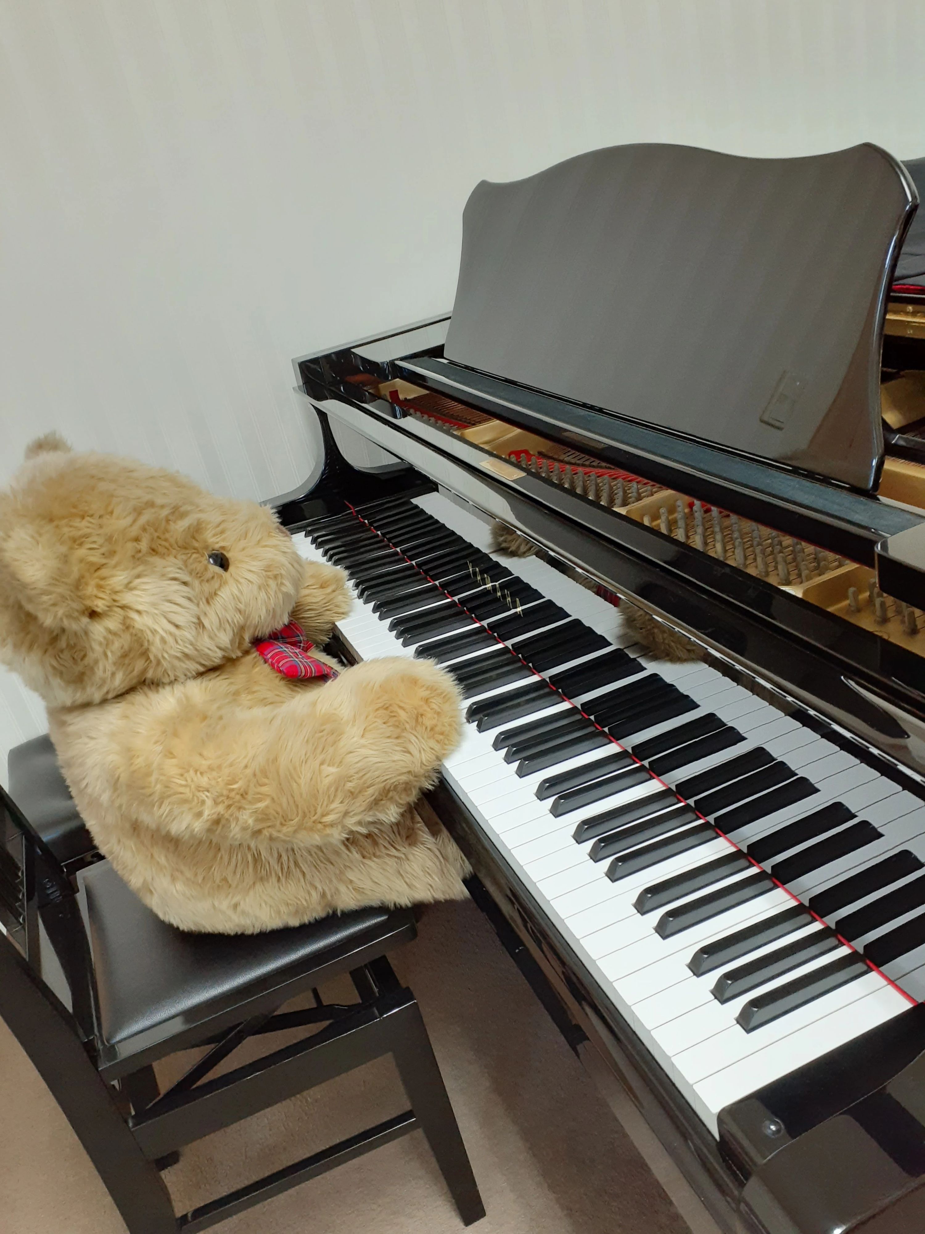 ふなこしピアノ音楽教室のメイン画像