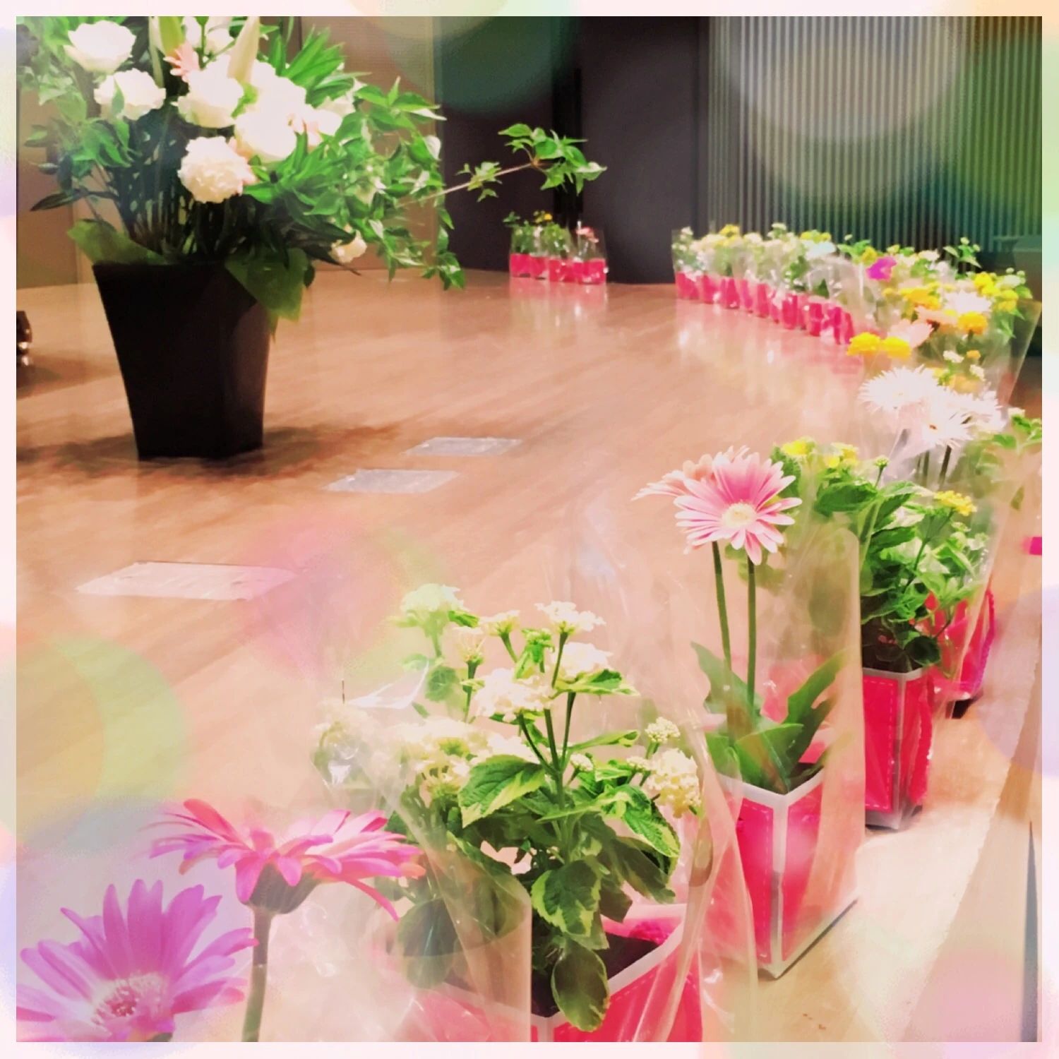 藤巻ピアノ音楽教室 江木町教室のサムネイル画像 2