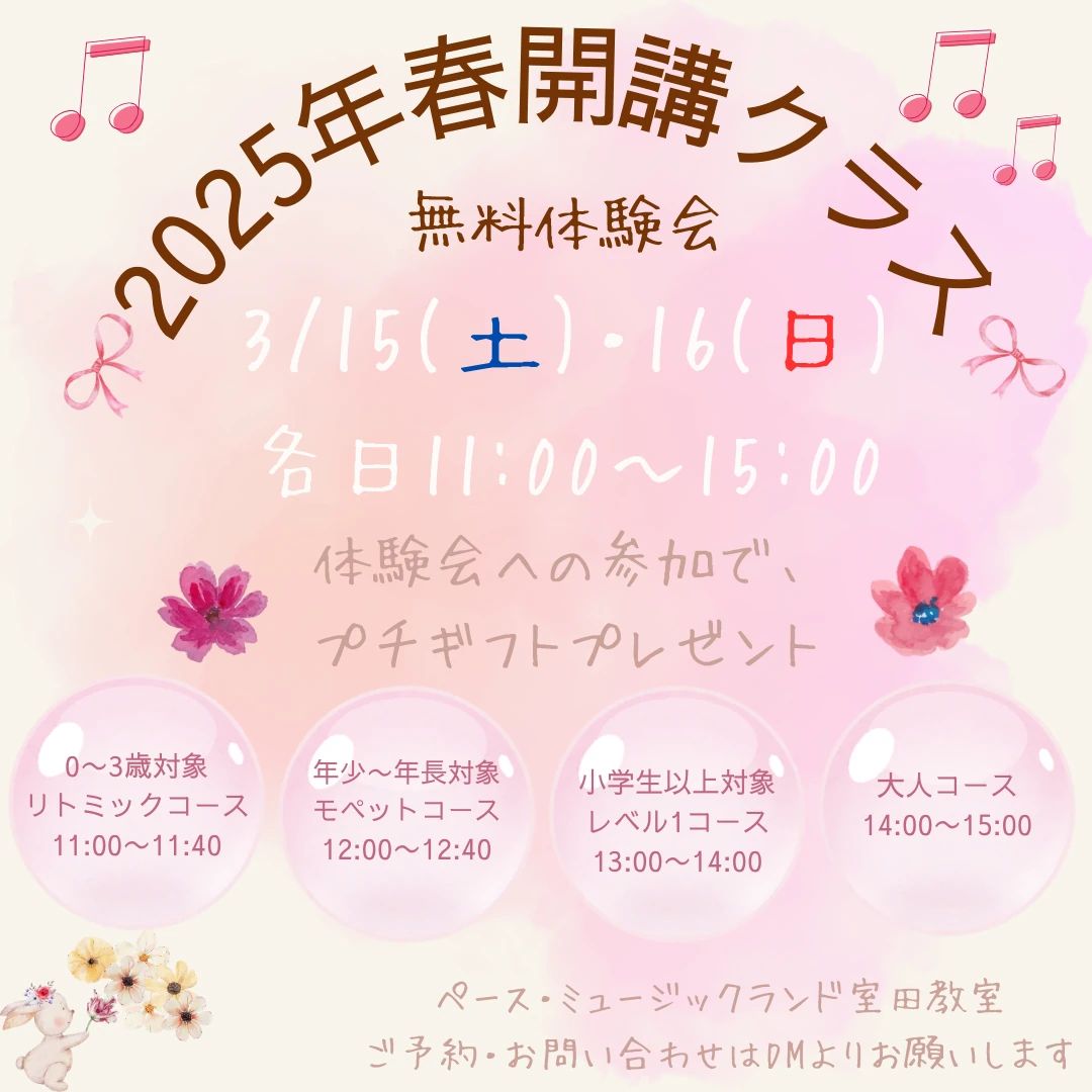 ペース・ミュージックランド ピアノ 室田教室のメイン画像