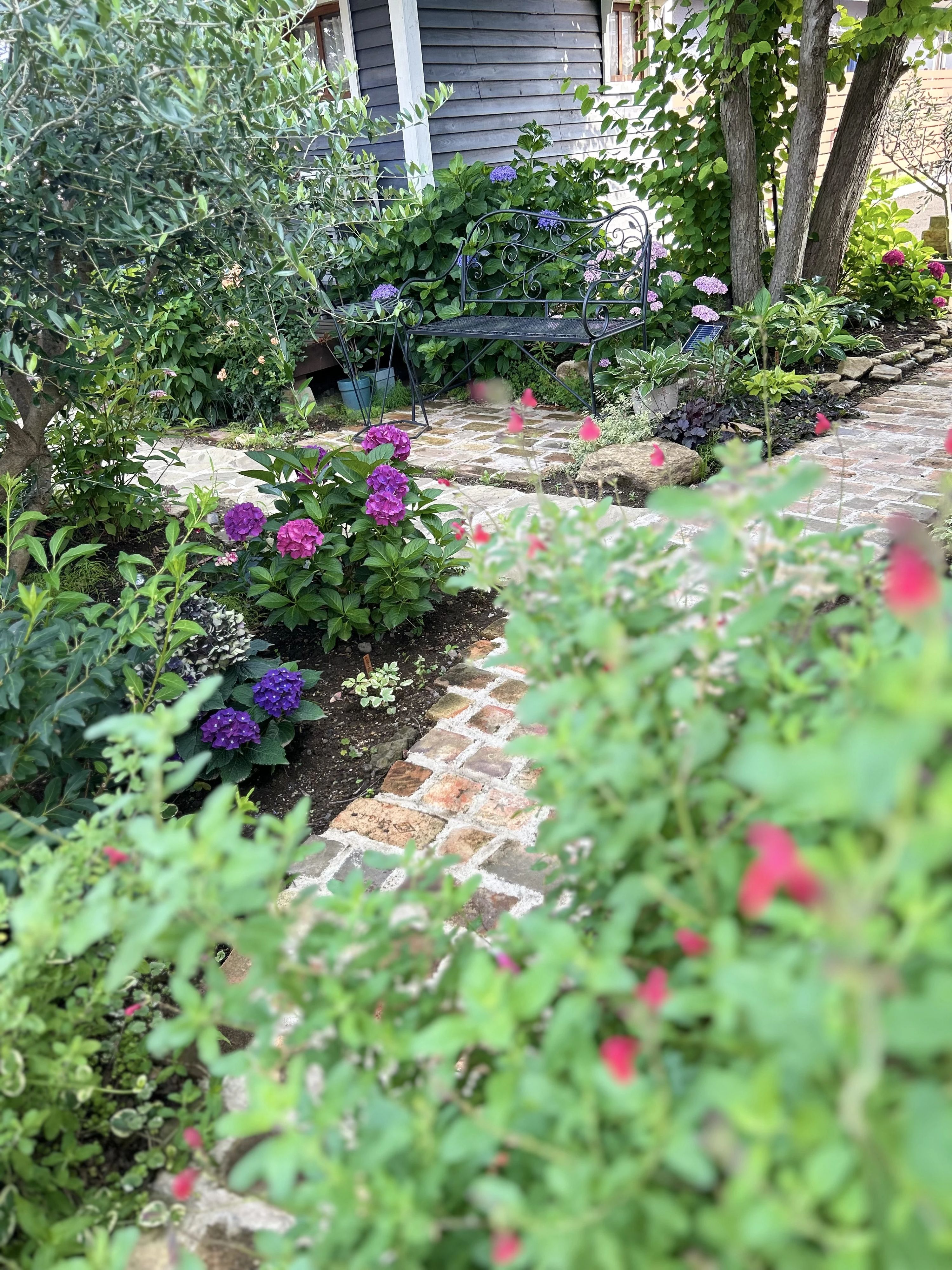 Piace(ピアチェ) ピアノ 由良町教室のサムネイル画像 5