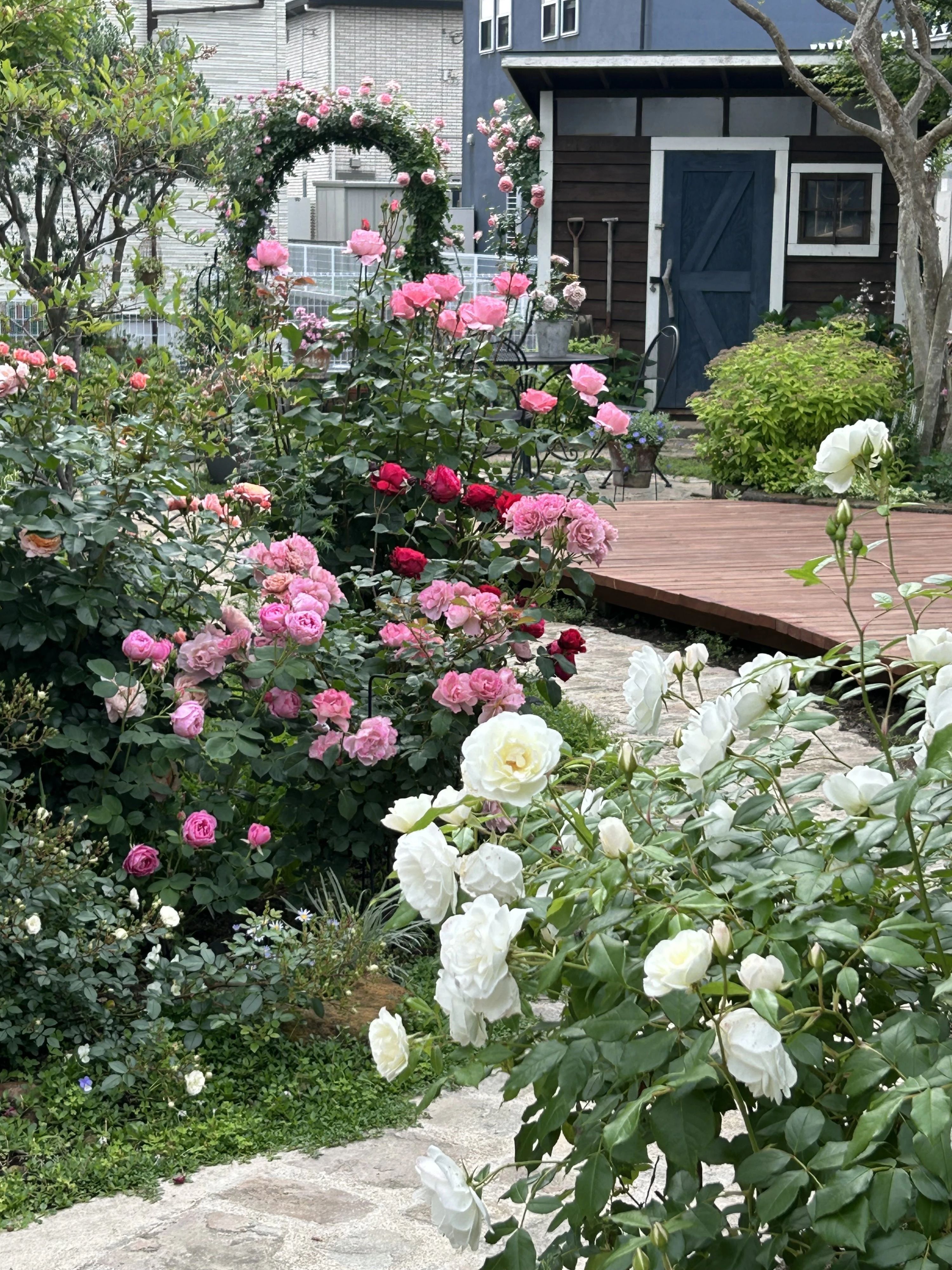 Piace(ピアチェ) ピアノ 由良町教室のメイン画像