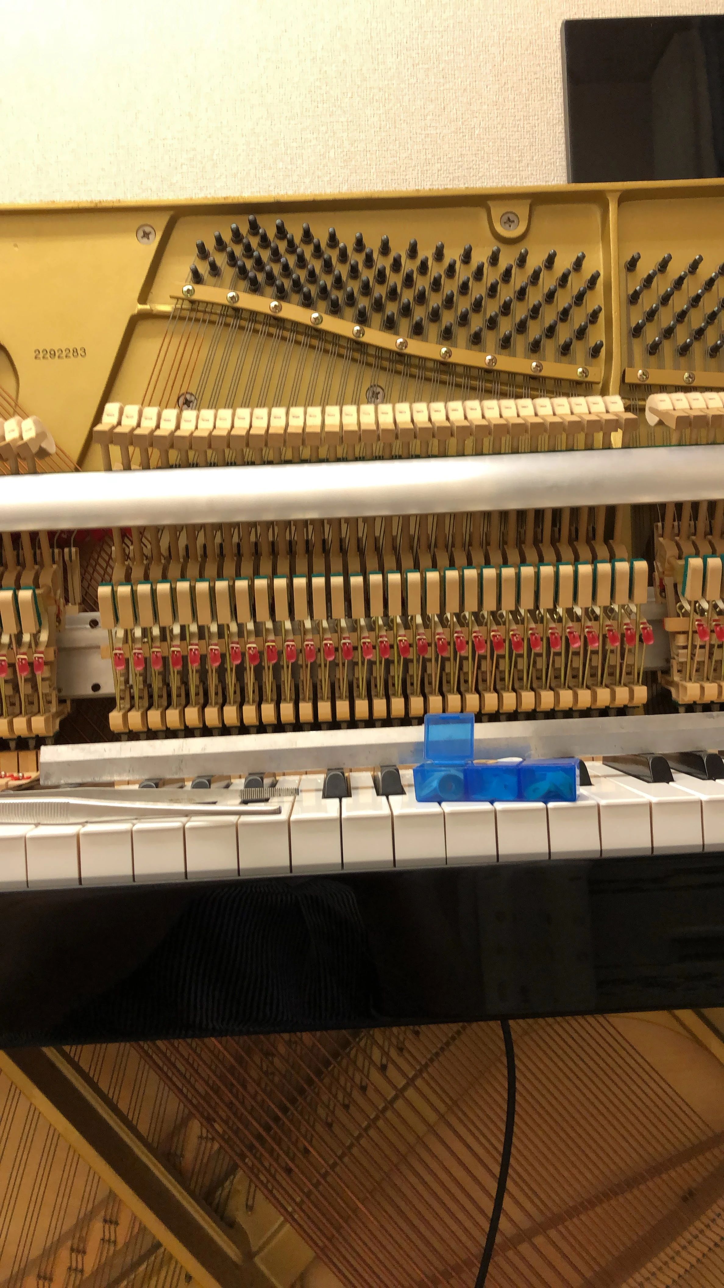 UNIVERSAL PIANO 山梨県昭和店教室のサムネイル画像 2