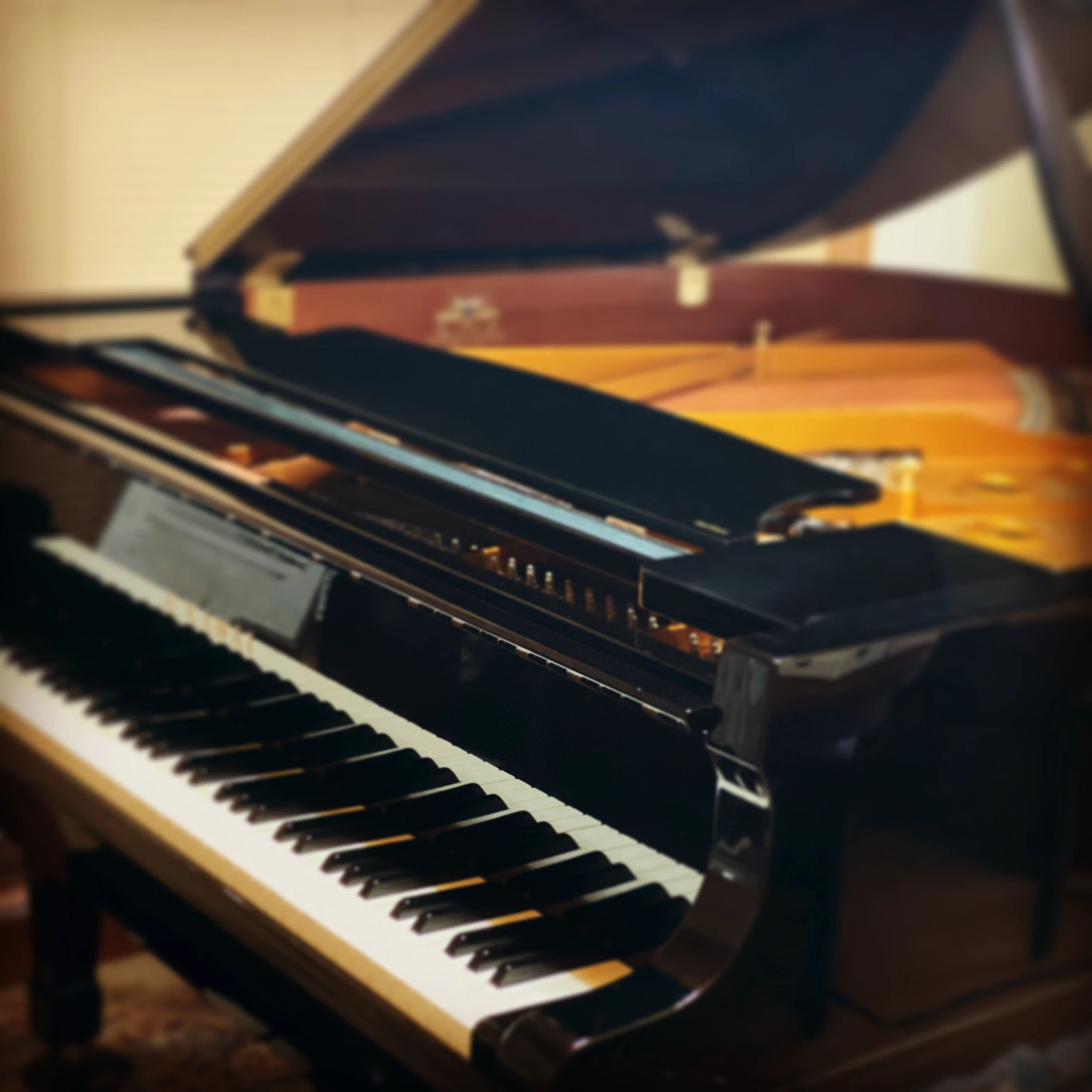 りょうこピアノ・リトミック教室 甲府教室のサムネイル画像 3