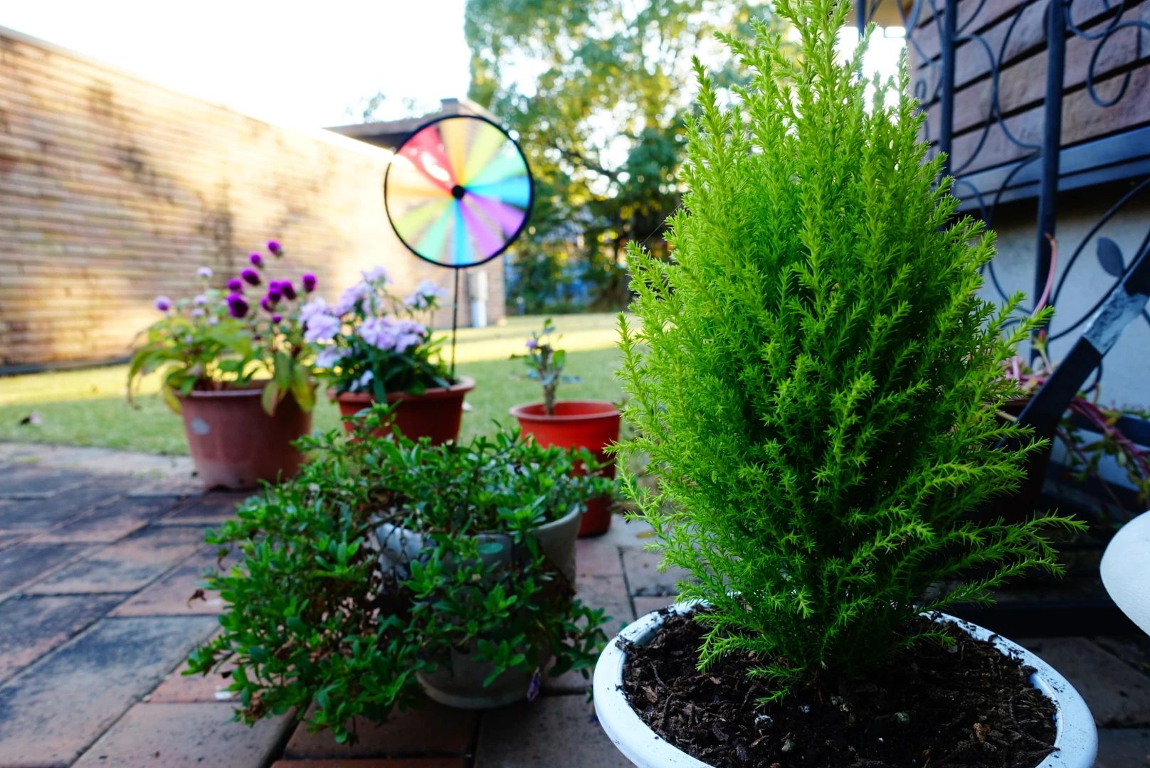 Shiori音楽教室 ピアノ 下曽根町教室のサムネイル画像 2