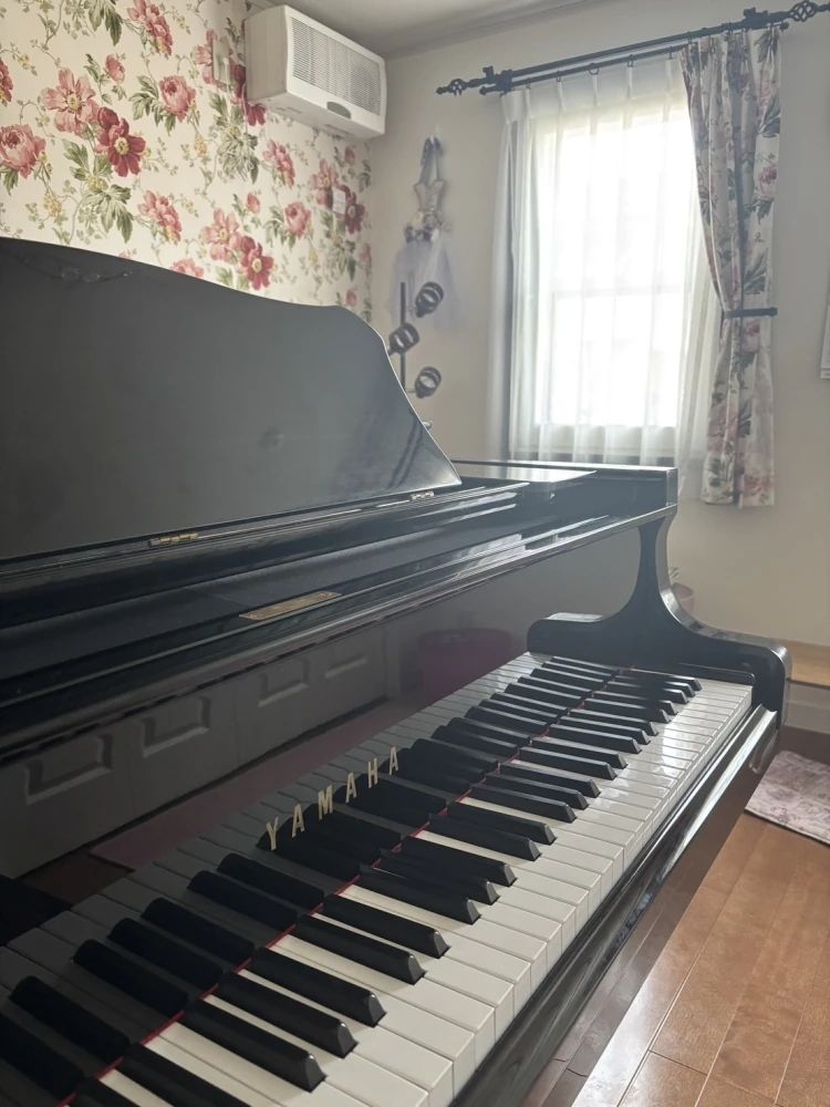 うたとピアノのフェリーチェ音楽院 山田教室のサムネイル画像 3