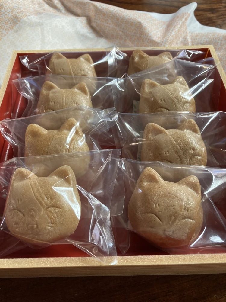 わたなべともこピアノ教室 赤塚教室のサムネイル画像 3