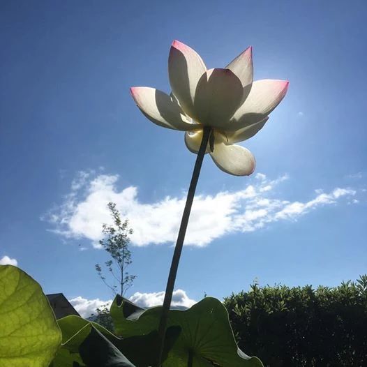 蔵スタジオ三谷 ピアノ 内田教室のメイン画像