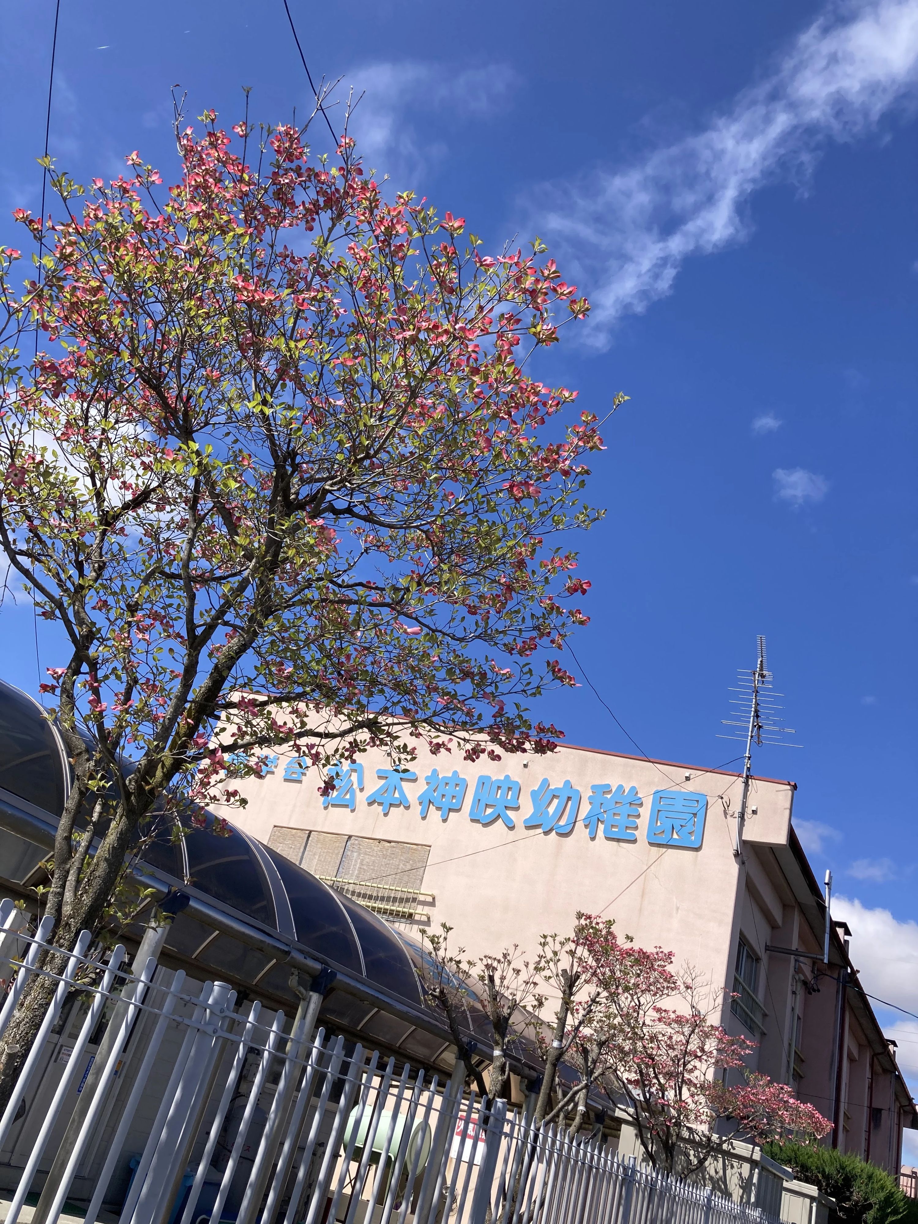 信学会 ピアノ 松本神映教室のサムネイル画像 2