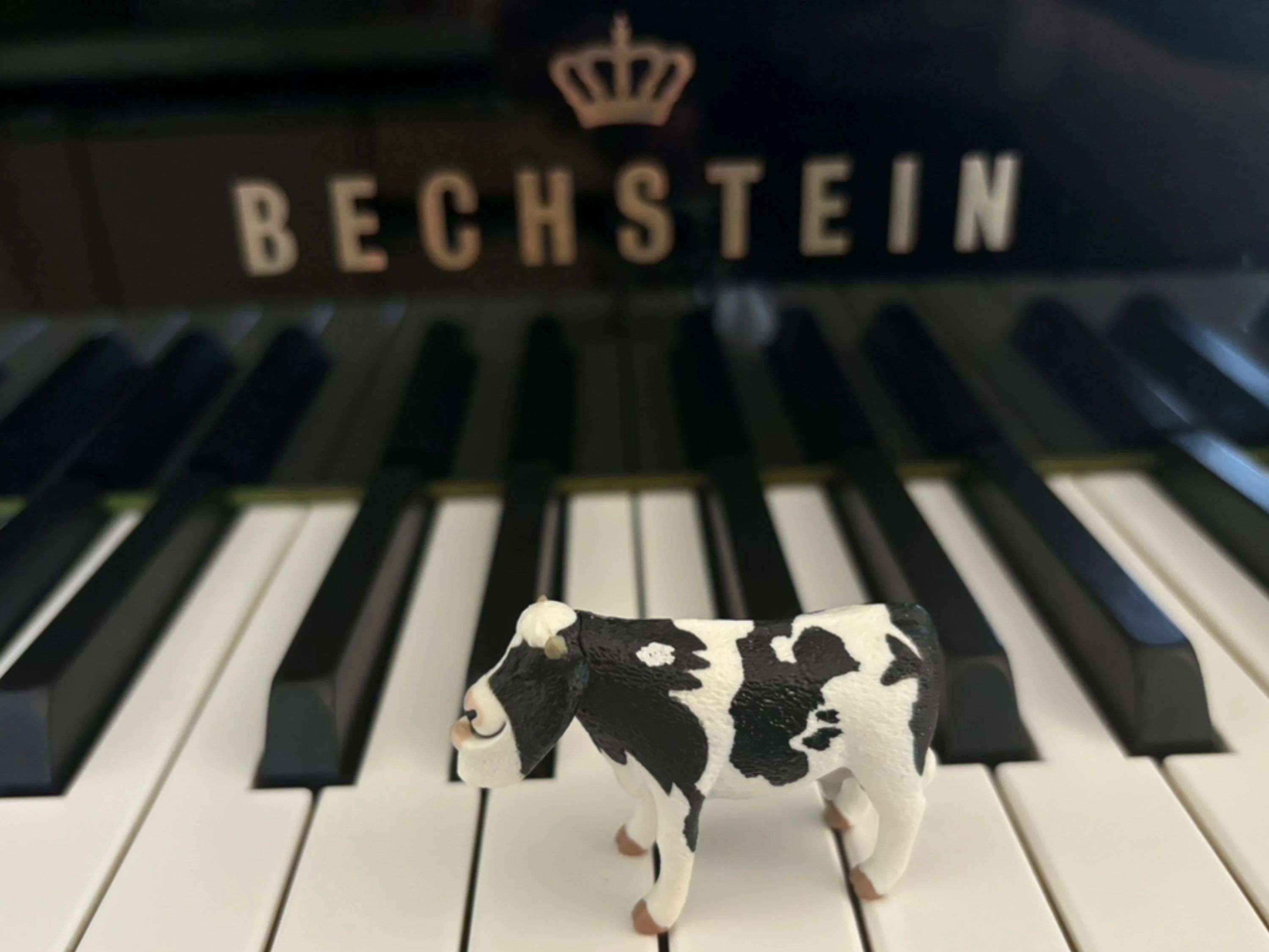 柏崎音楽教室 ピアノ 穂高有明教室のサムネイル画像 3