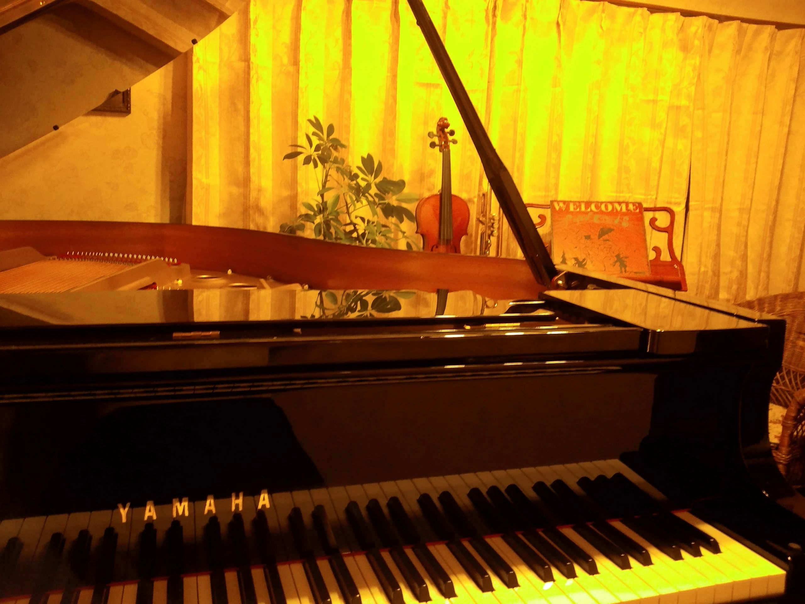 音の森ピアノ教室[富山県] 福光教室のメイン画像