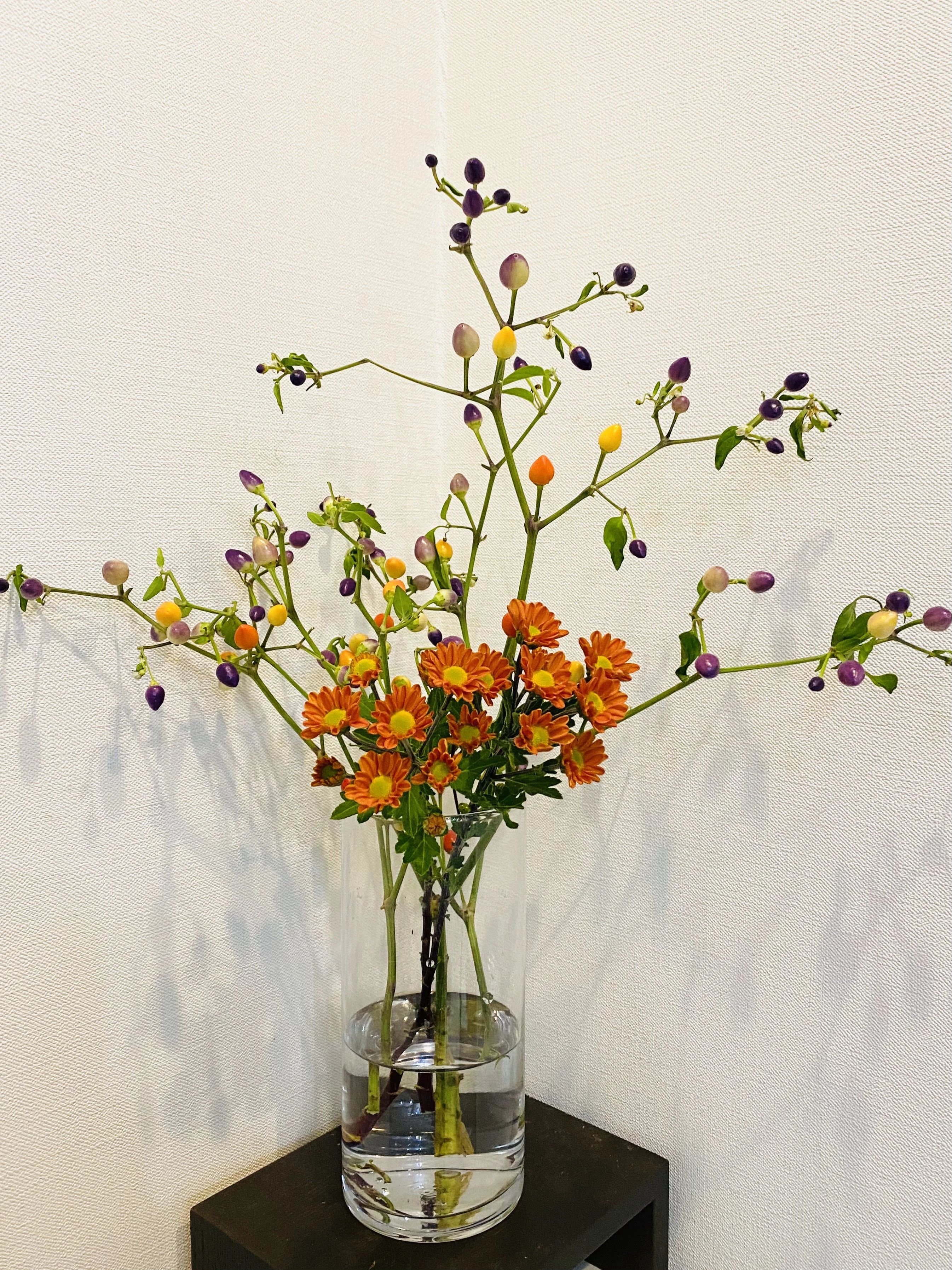 堀江ピアノ教室 南幸町教室のメイン画像