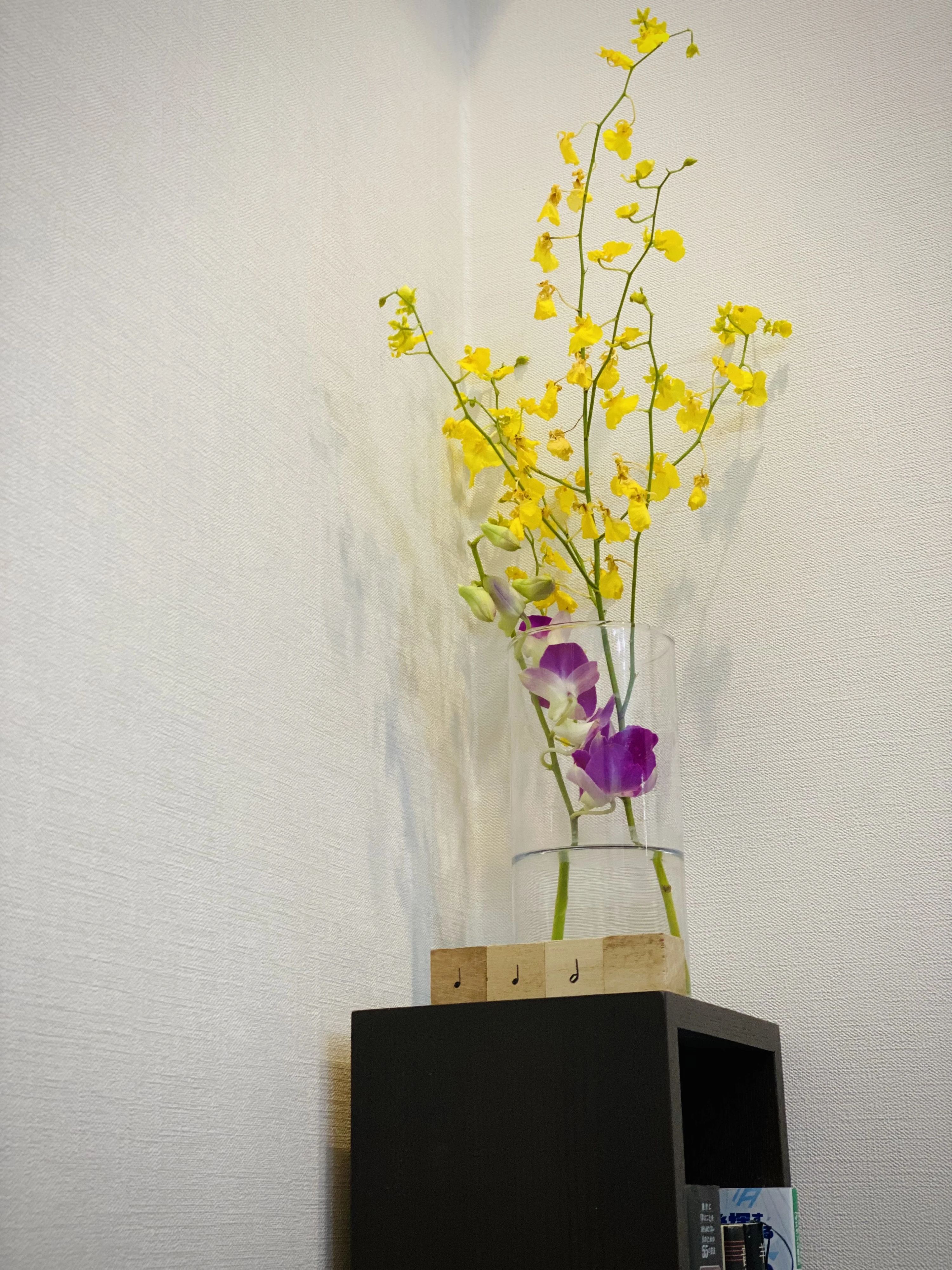 堀江ピアノ教室 南幸町教室のサムネイル画像 5