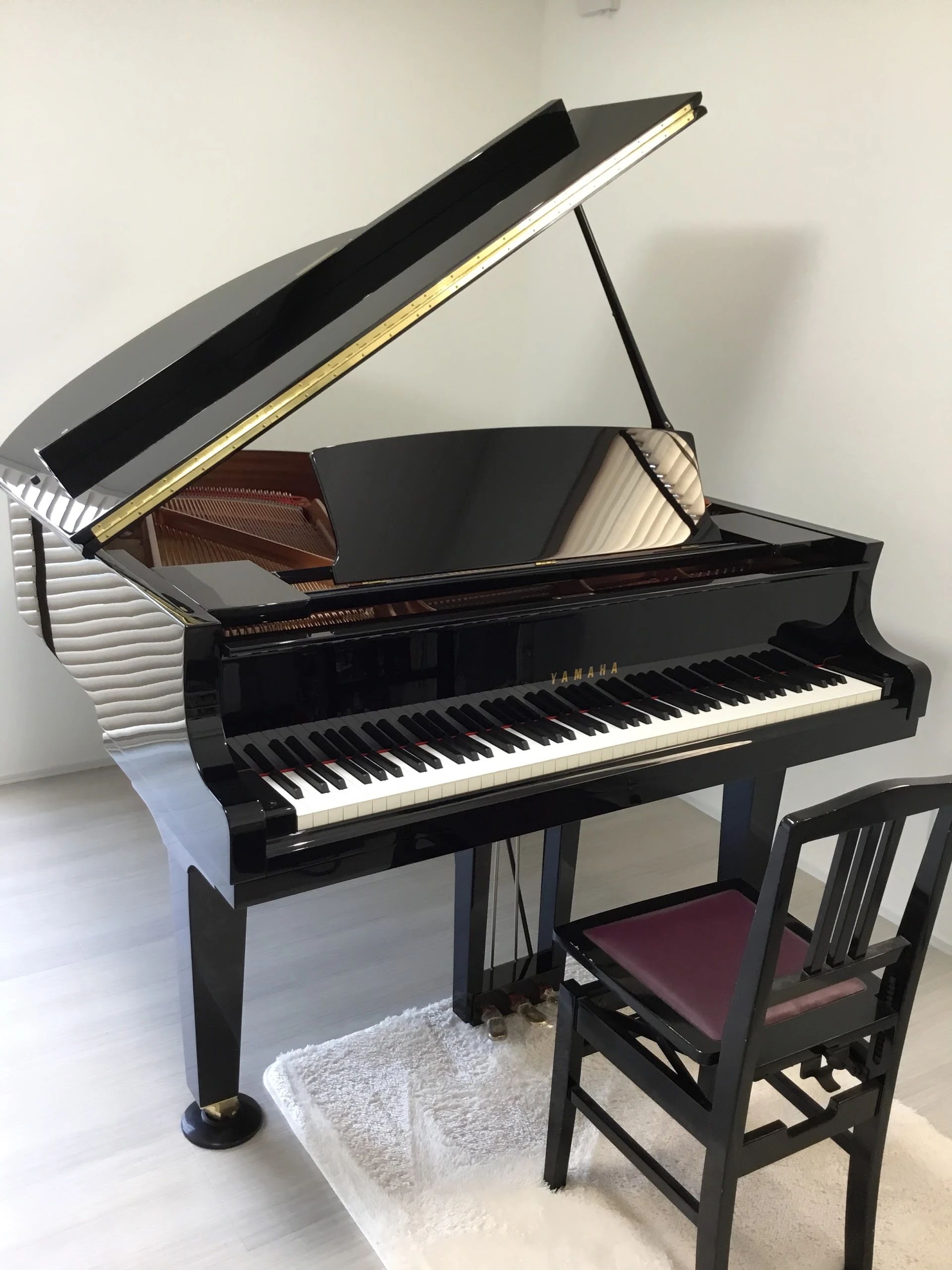 ピアノ教室 Andante(アンダンテ) 白山市教室のサムネイル画像 2