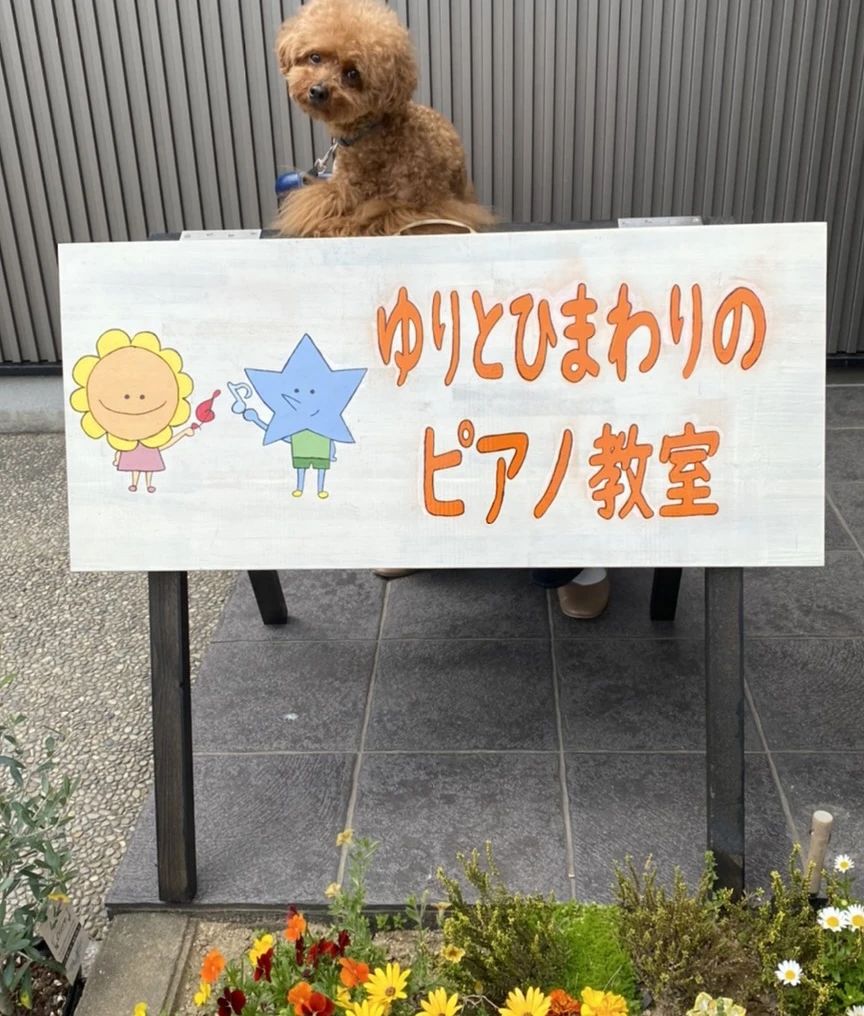 ゆりとひまわりのピアノ教室 本校のサムネイル画像 3