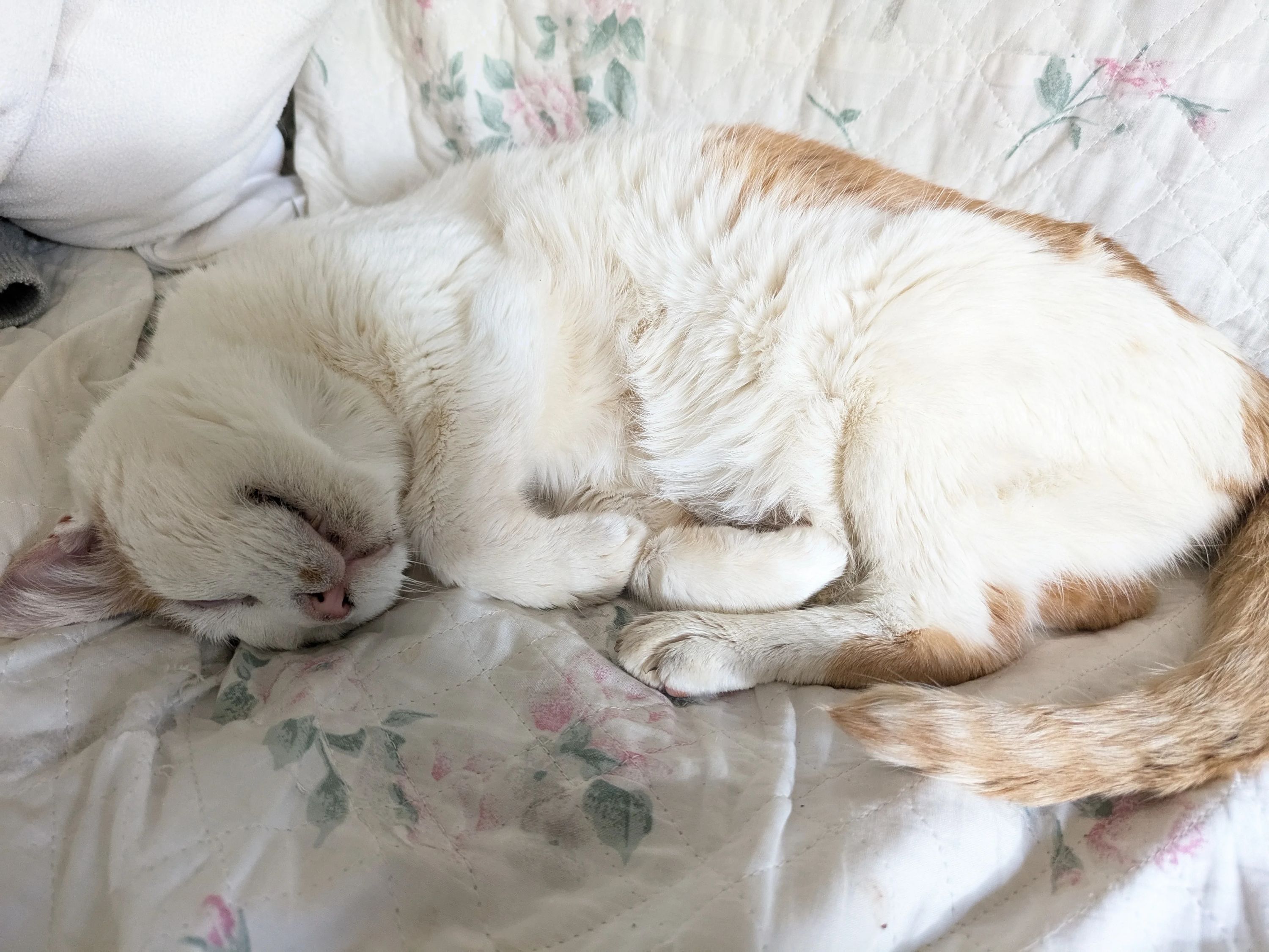 今村ピアノ教室 千代野西教室のメイン画像