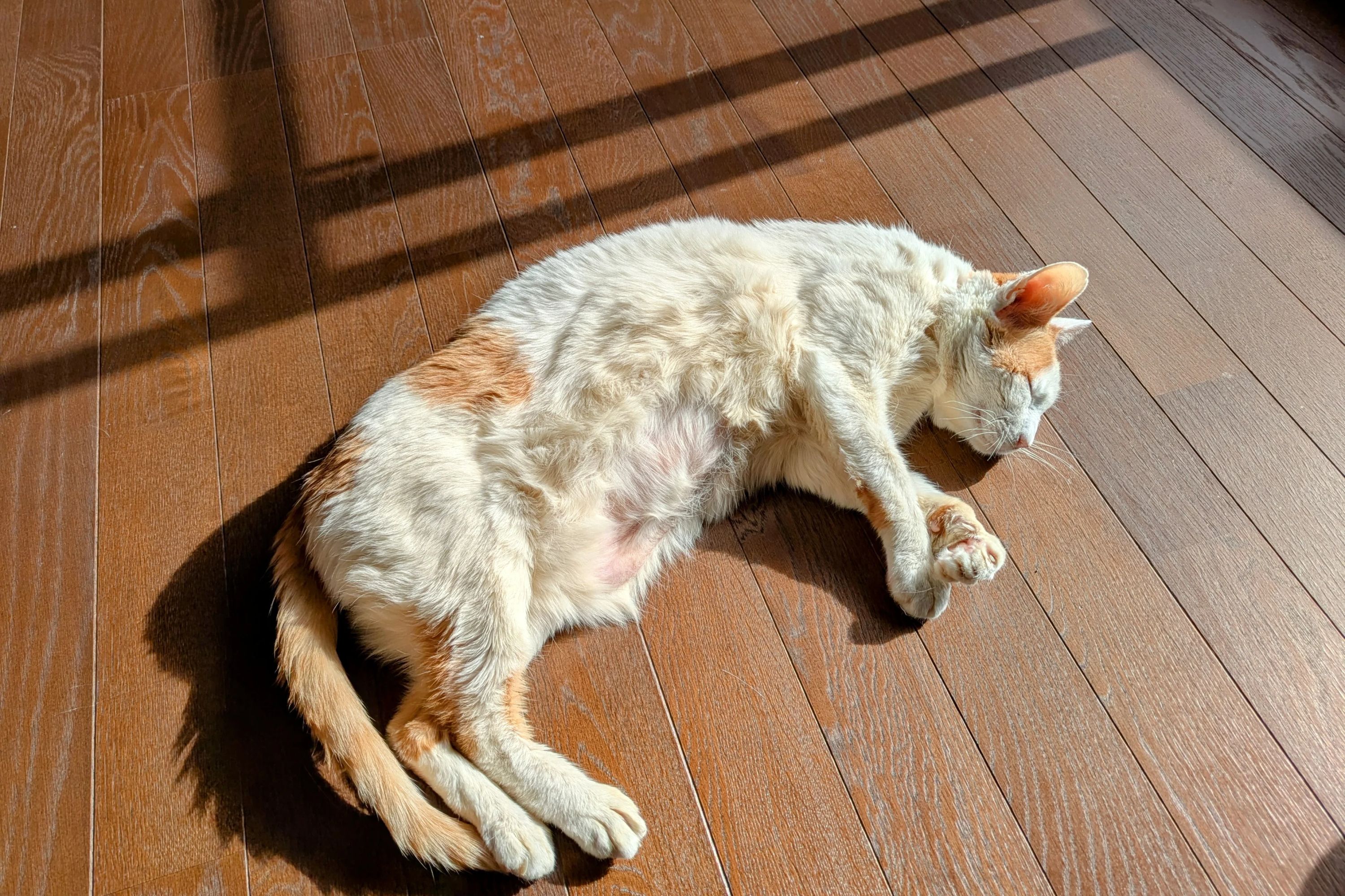 今村ピアノ教室 千代野西教室のサムネイル画像 4