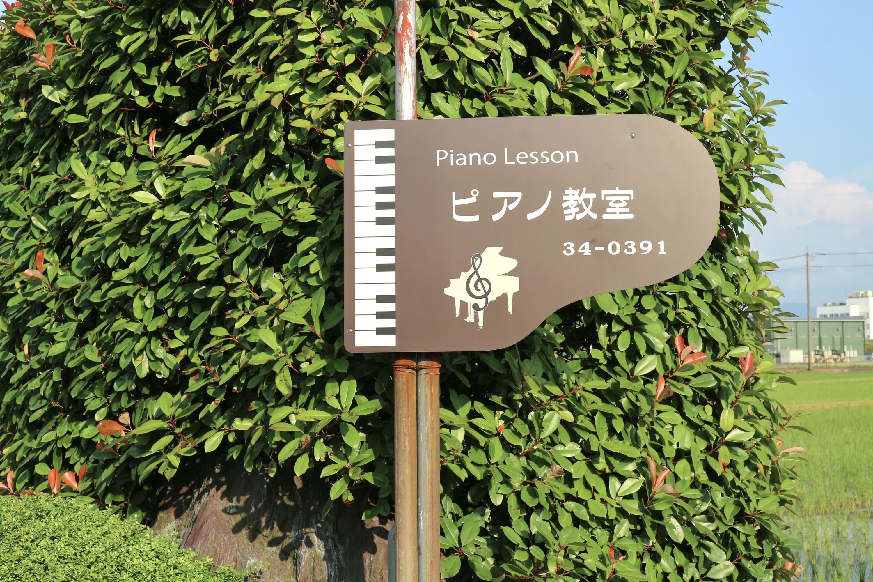 たかはしピアノ教室[福井県] 気比庄教室のサムネイル画像 4