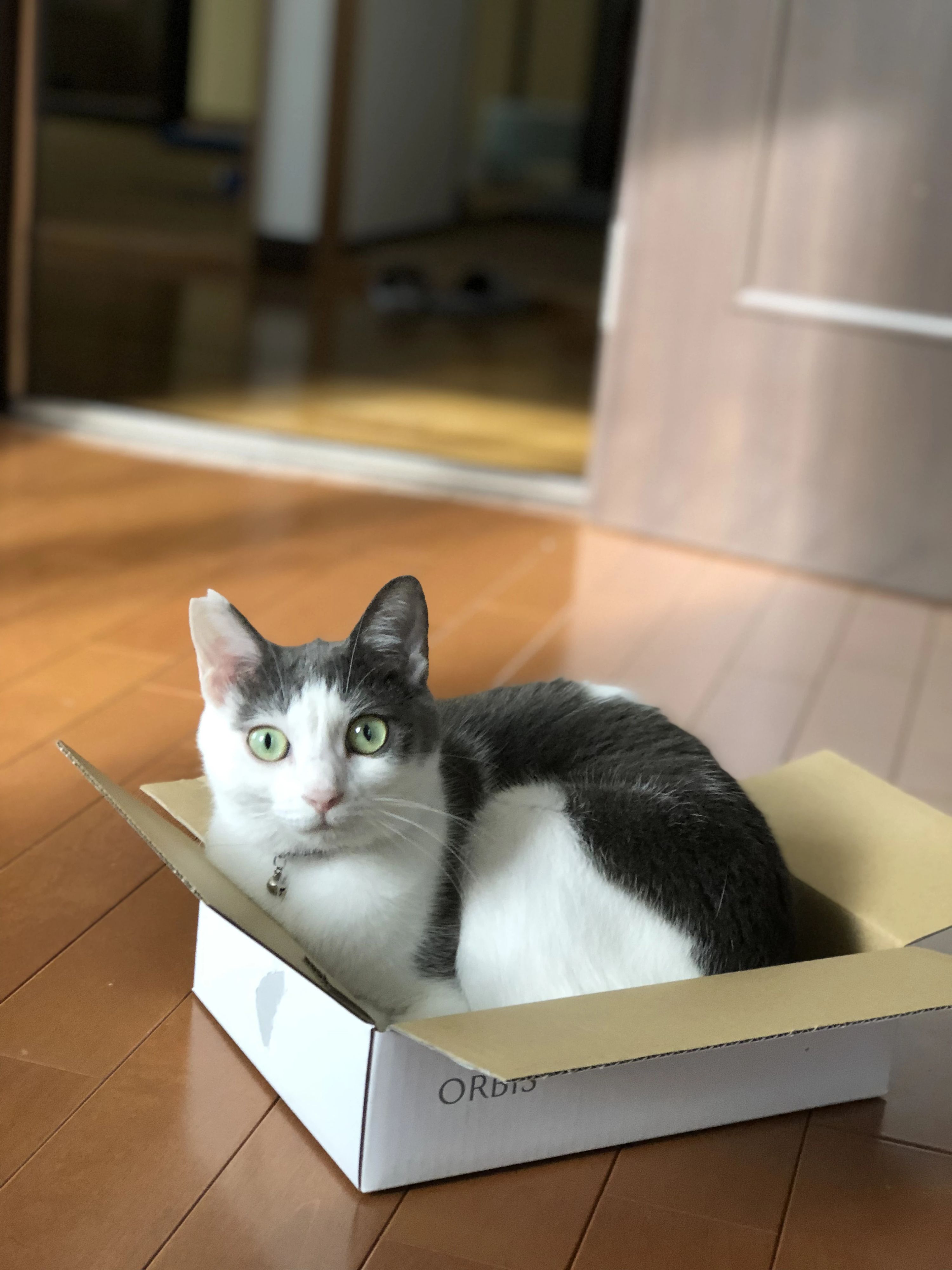 加藤ピアノ教室[愛知県刈谷市] 半城土中町教室のメイン画像