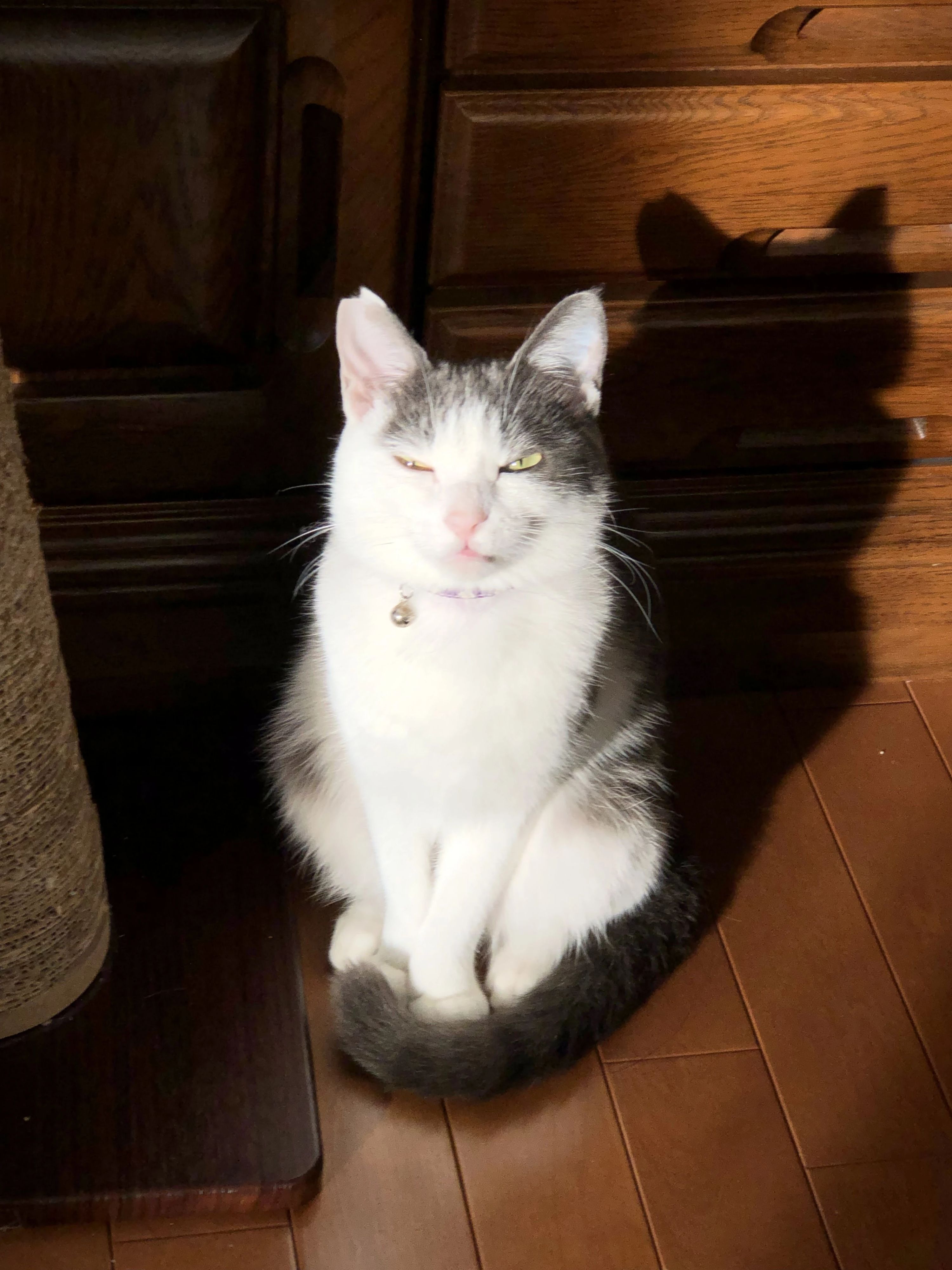 加藤ピアノ教室[愛知県刈谷市] 半城土中町教室のサムネイル画像 2