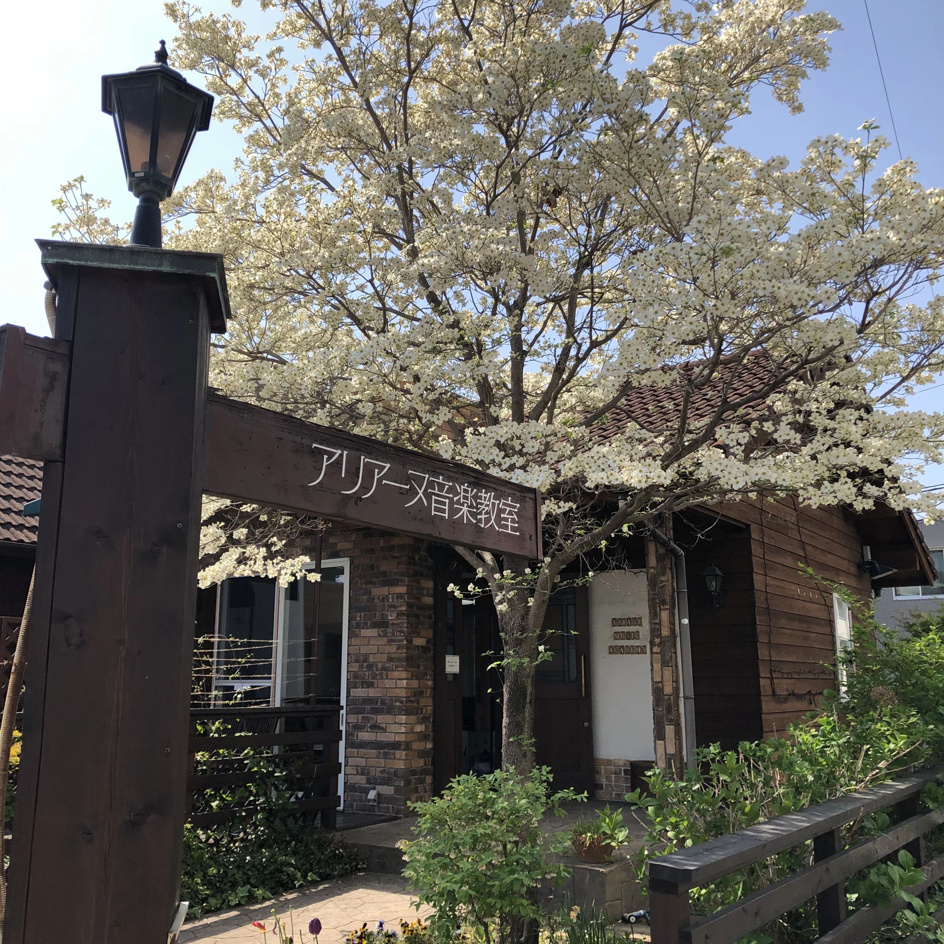 アリアーヌ音楽教室 ピアノ よもぎ台教室のメイン画像